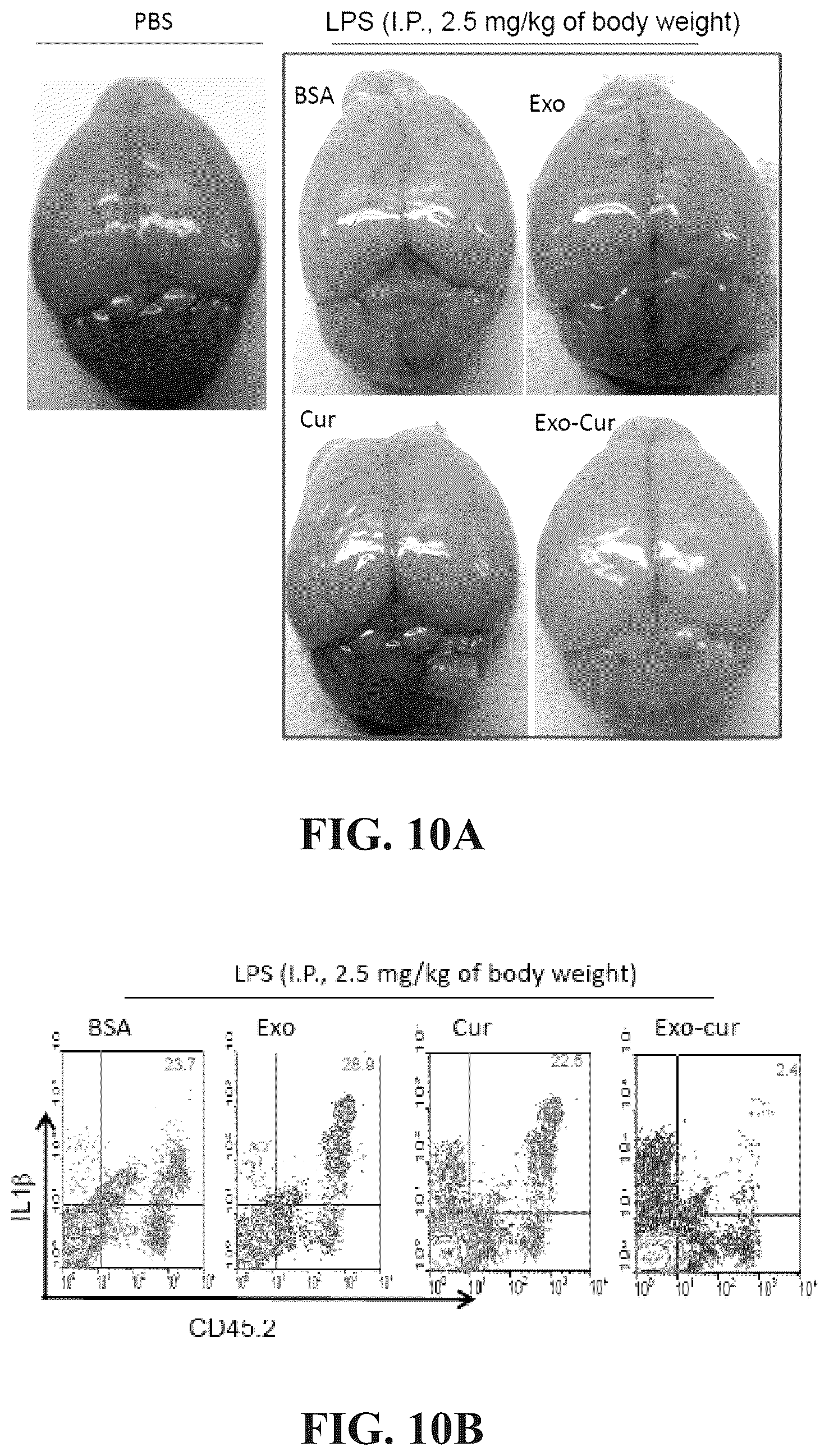 Patent US12318482 Figure 12 – Exosomal compositions and methods for the treatment of disease