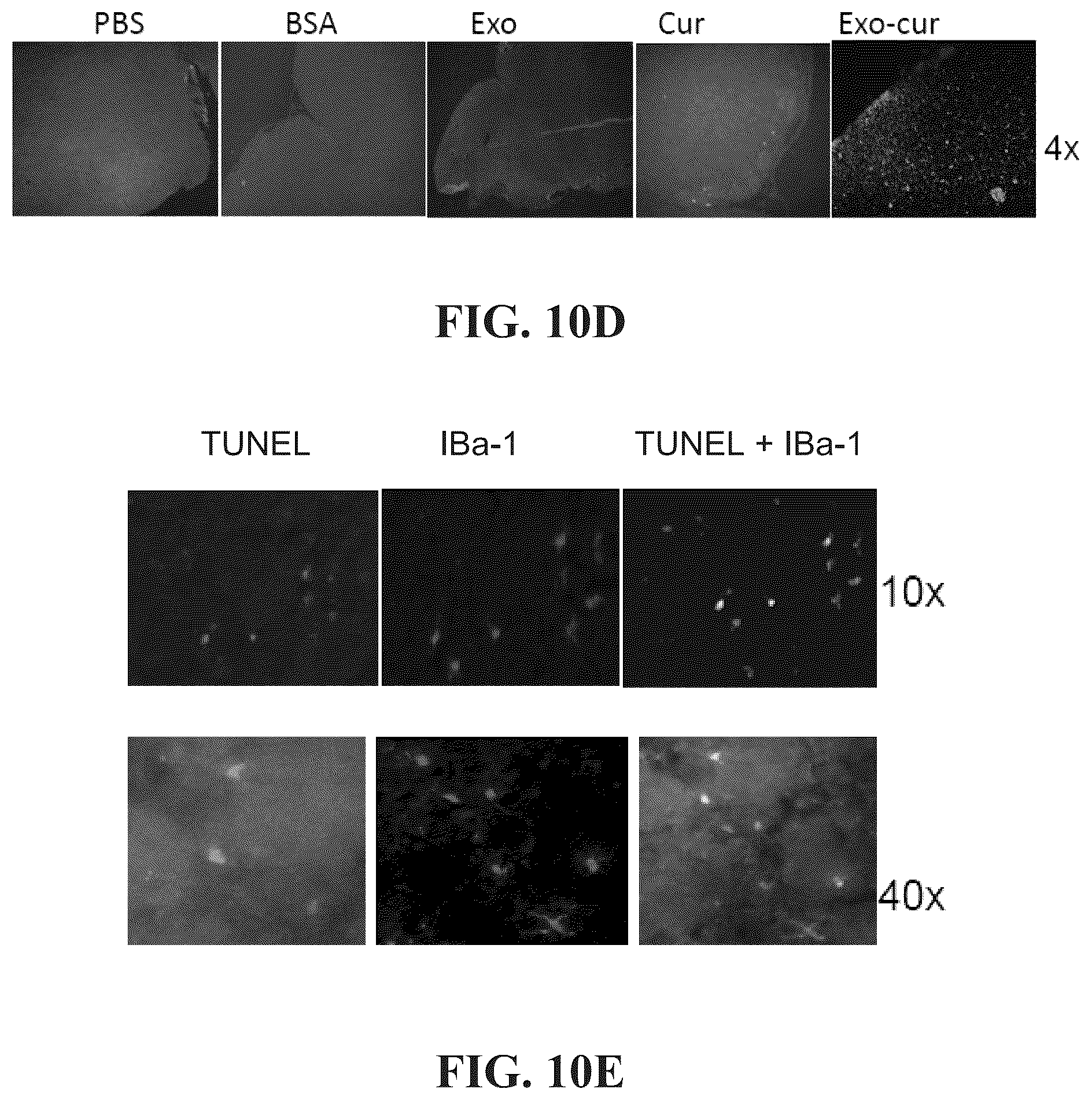 Patent US12318482 Figure 14 – Exosomal compositions and methods for the treatment of disease