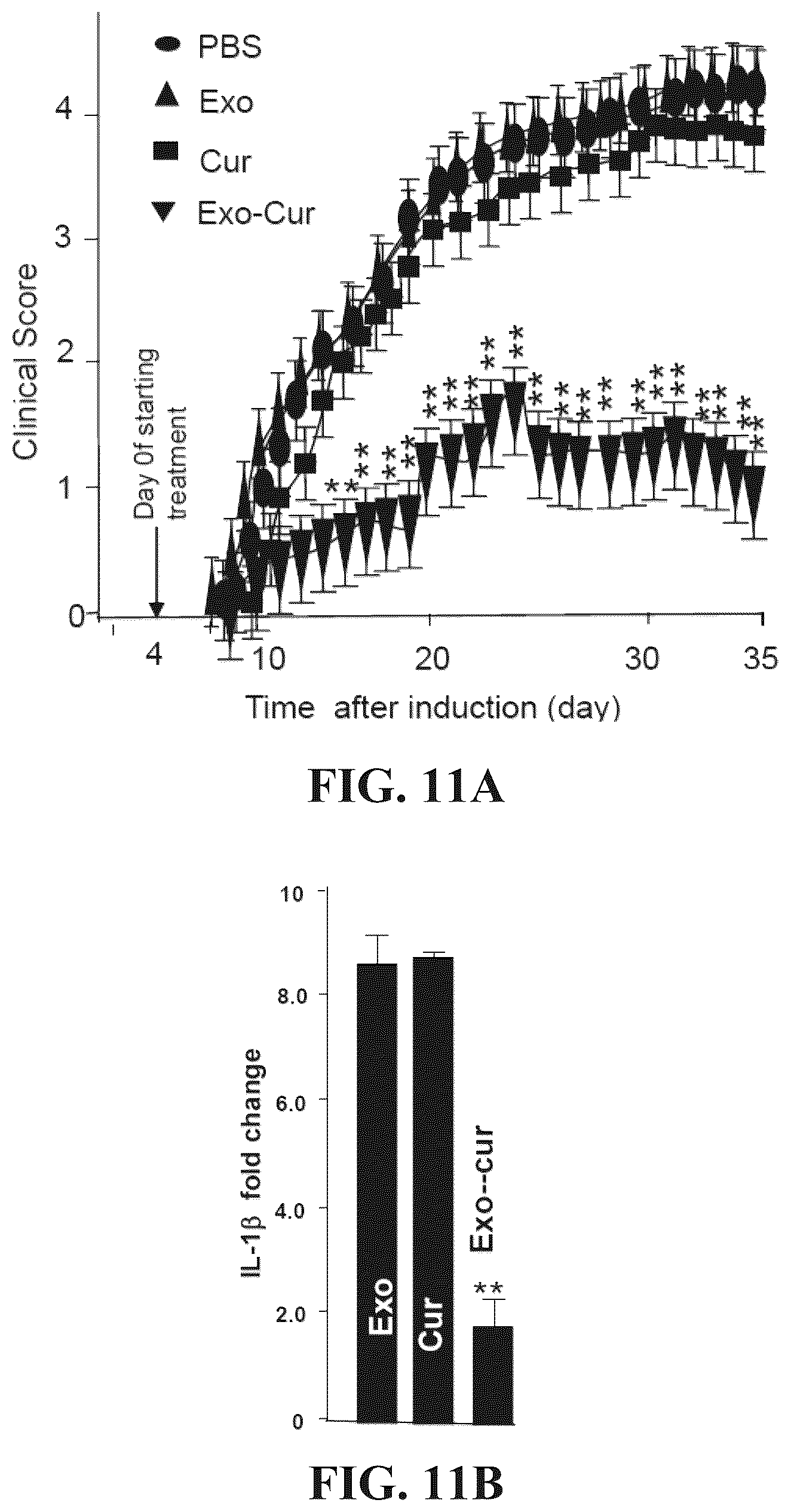 Patent US12318482 Figure 16 – Exosomal compositions and methods for the treatment of disease