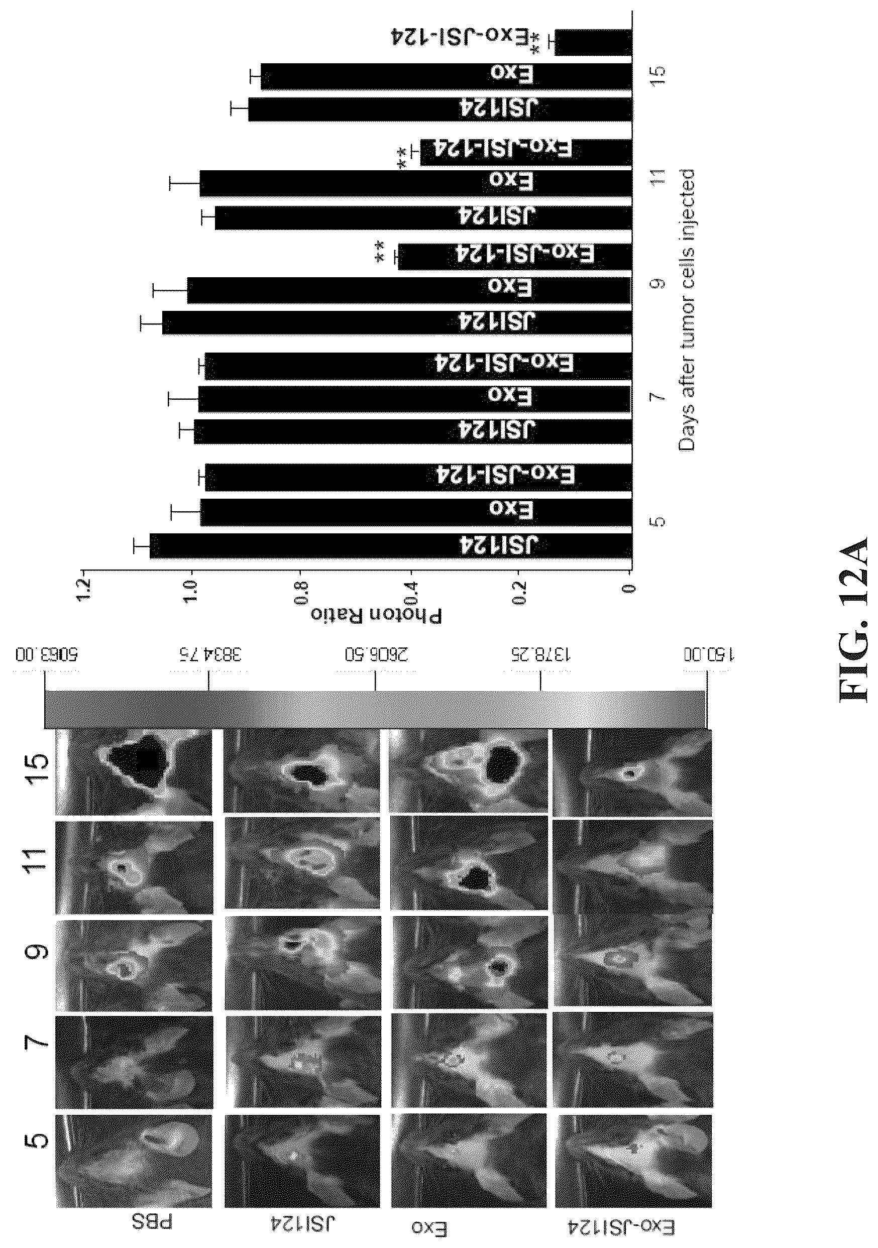 Patent US12318482 Figure 17 – Exosomal compositions and methods for the treatment of disease