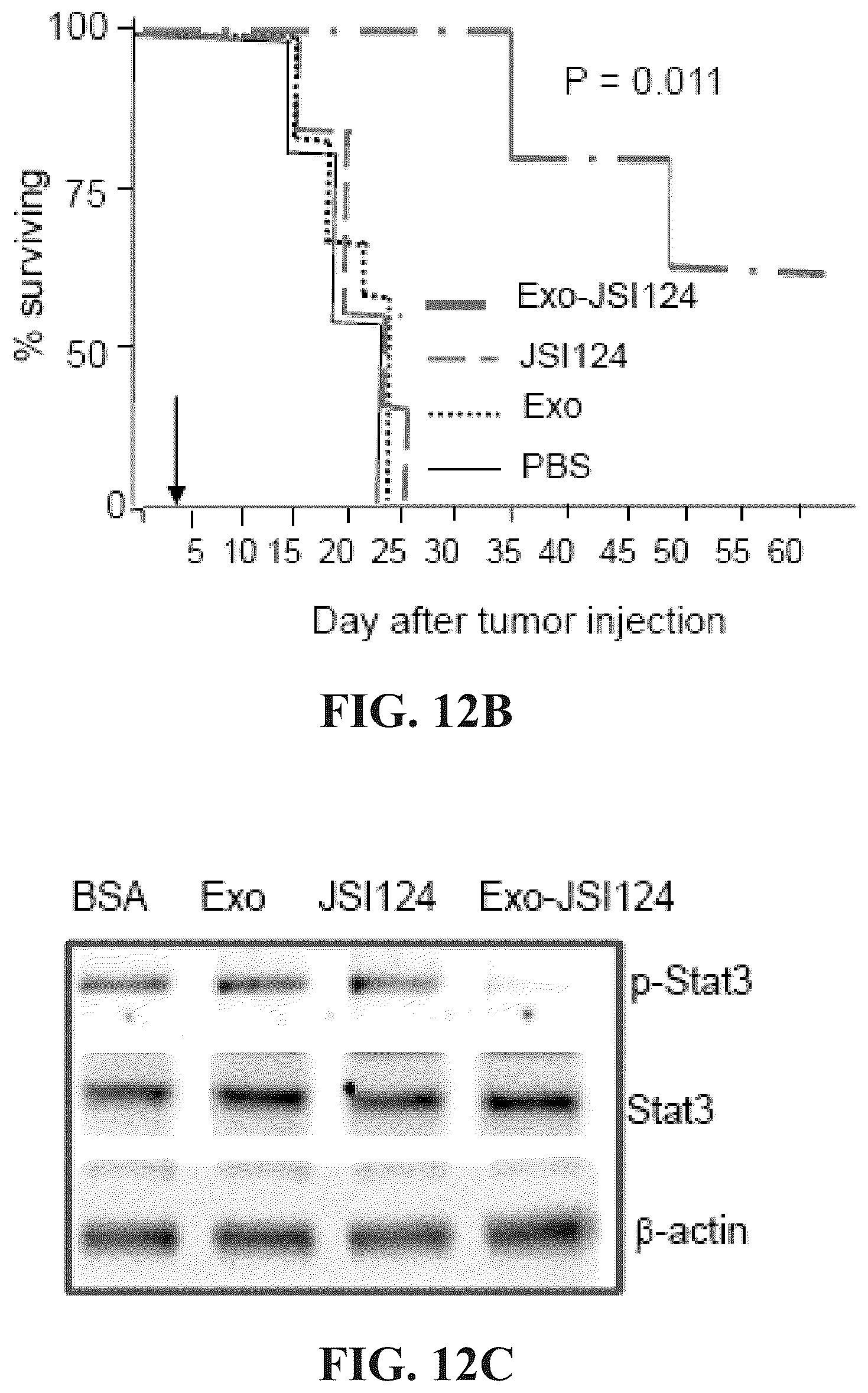 Patent US12318482 Figure 18 – Exosomal compositions and methods for the treatment of disease