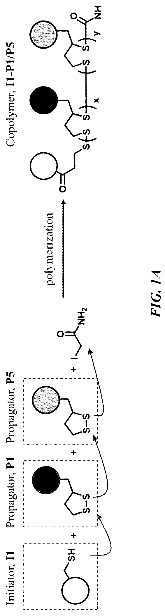 Patent US12318485 Figure 1 – Methods and compositions for targeted delivery by polymersomes