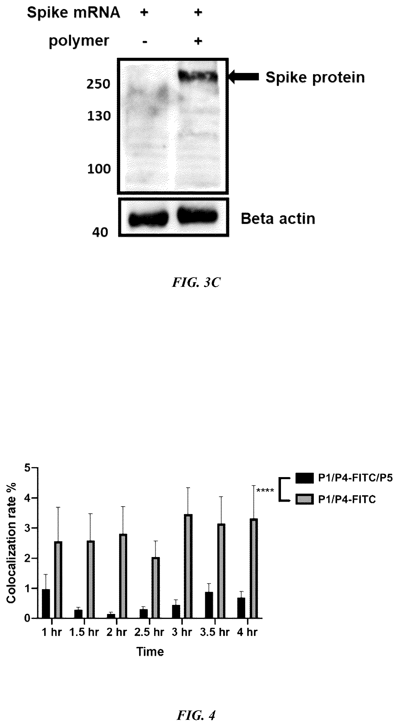 Patent US12318485 Figure 5 – Methods and compositions for targeted delivery by polymersomes