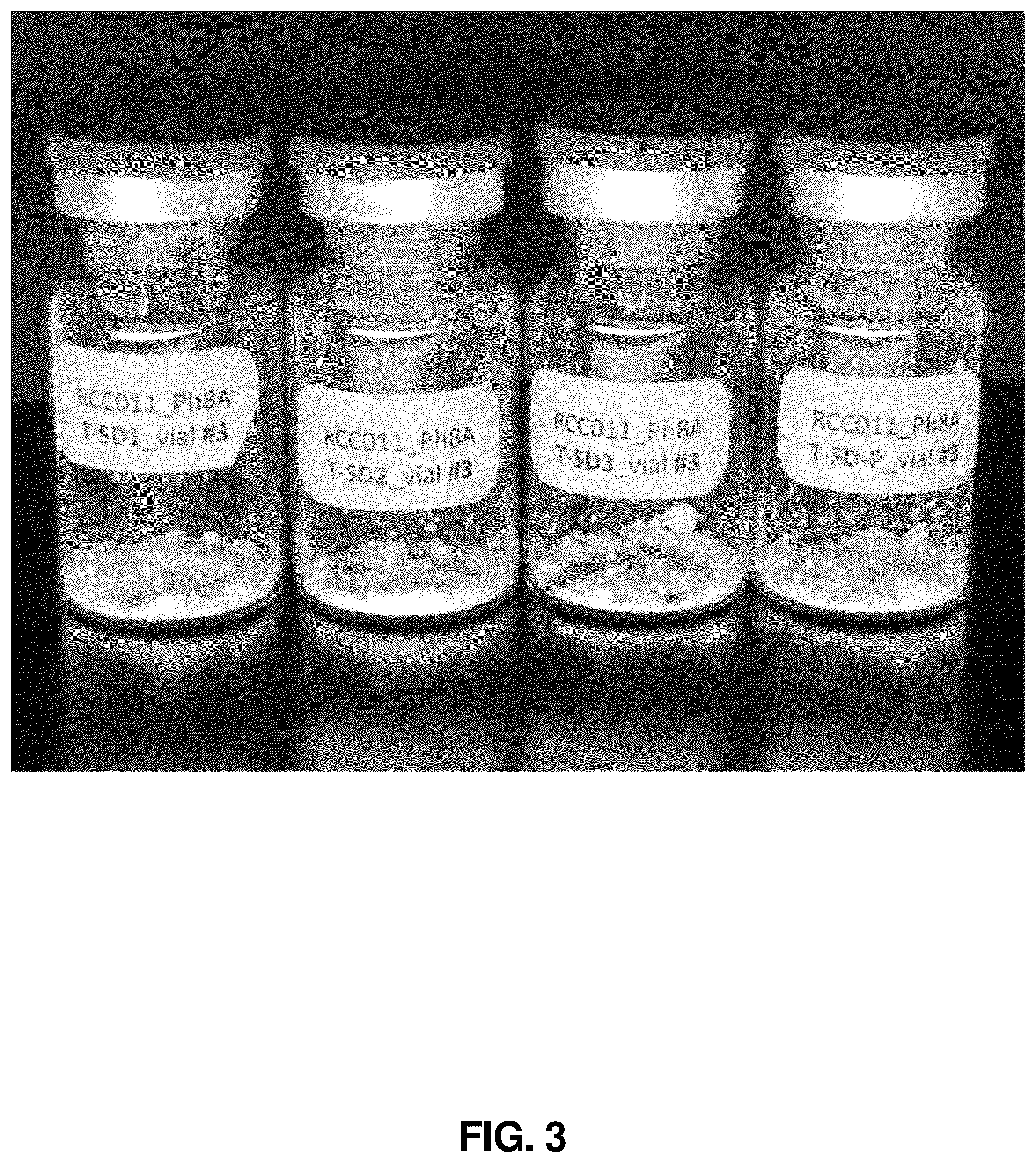 Patent US12318486 Figure 3 – Dry powder composition comprising long-chain RNA