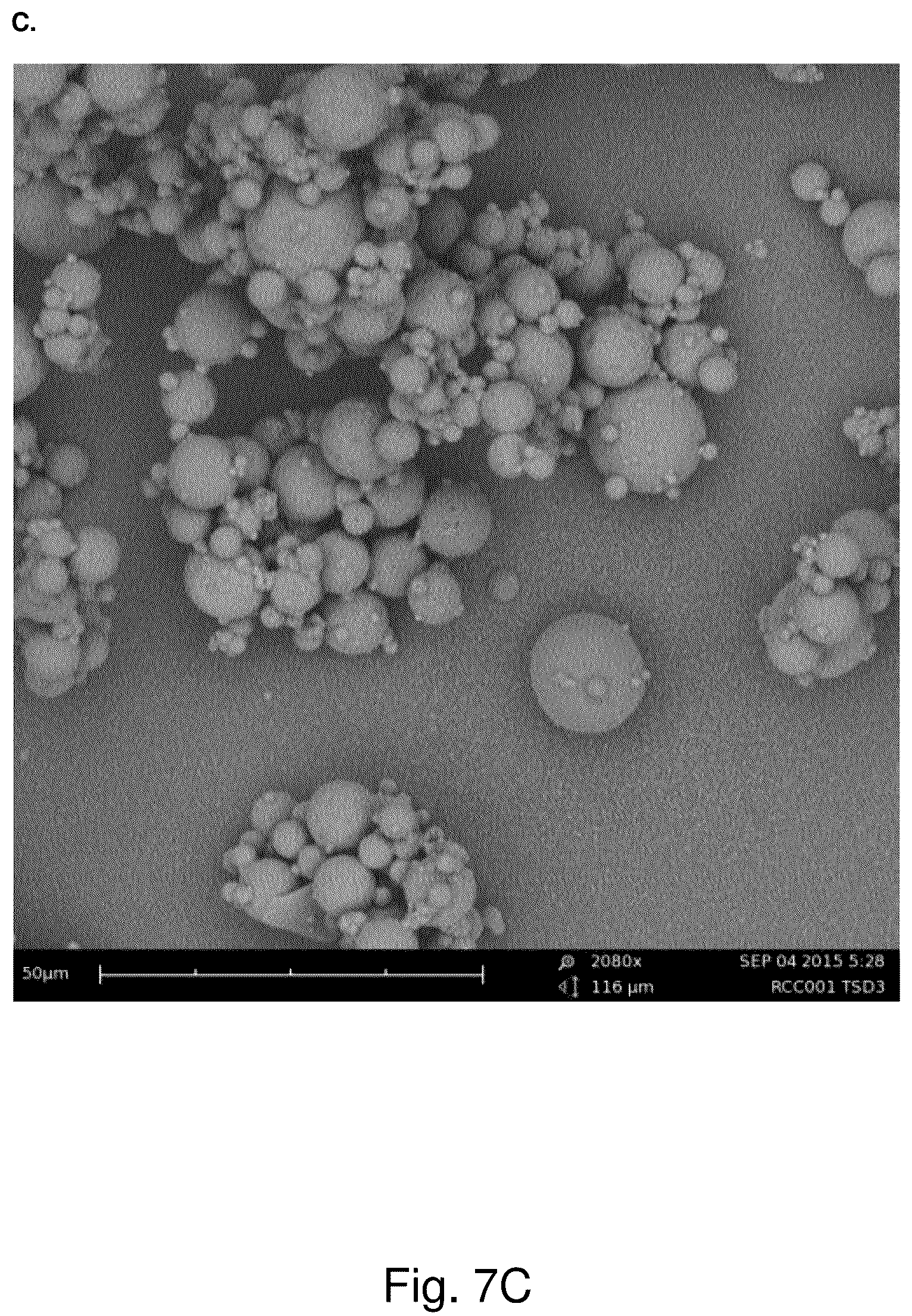 Patent US12318486 Figure 9 – Dry powder composition comprising long-chain RNA