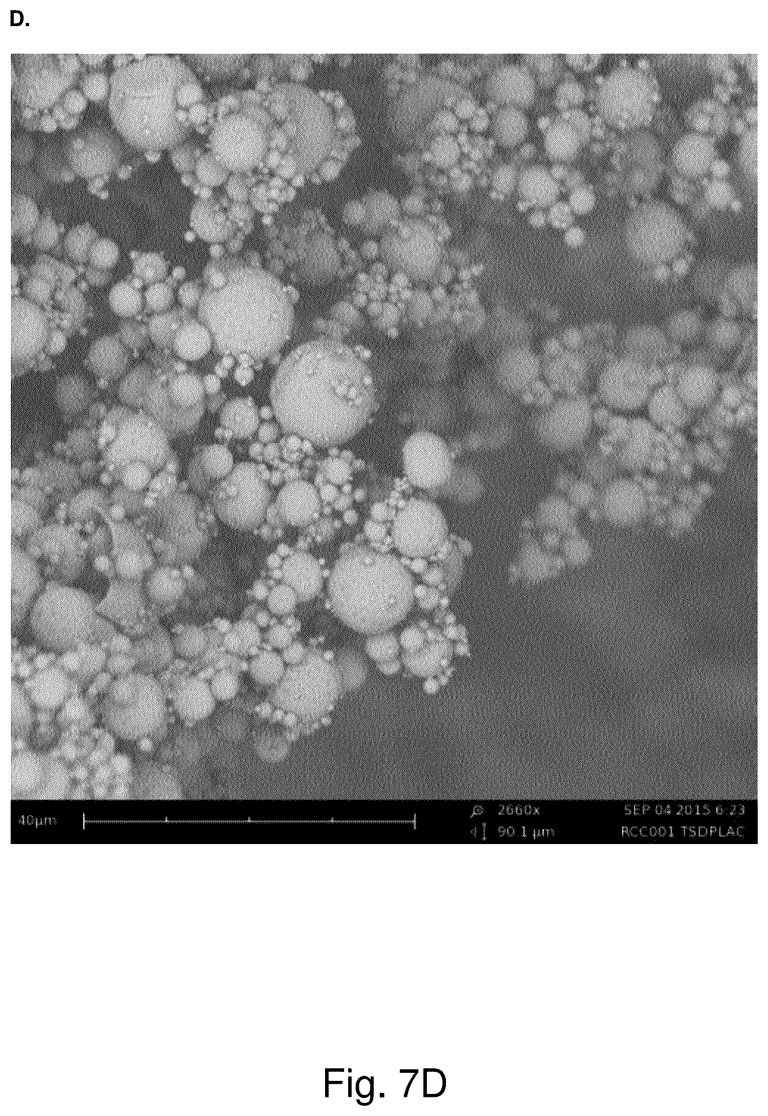 Patent US12318486 Figure 10 – Dry powder composition comprising long-chain RNA