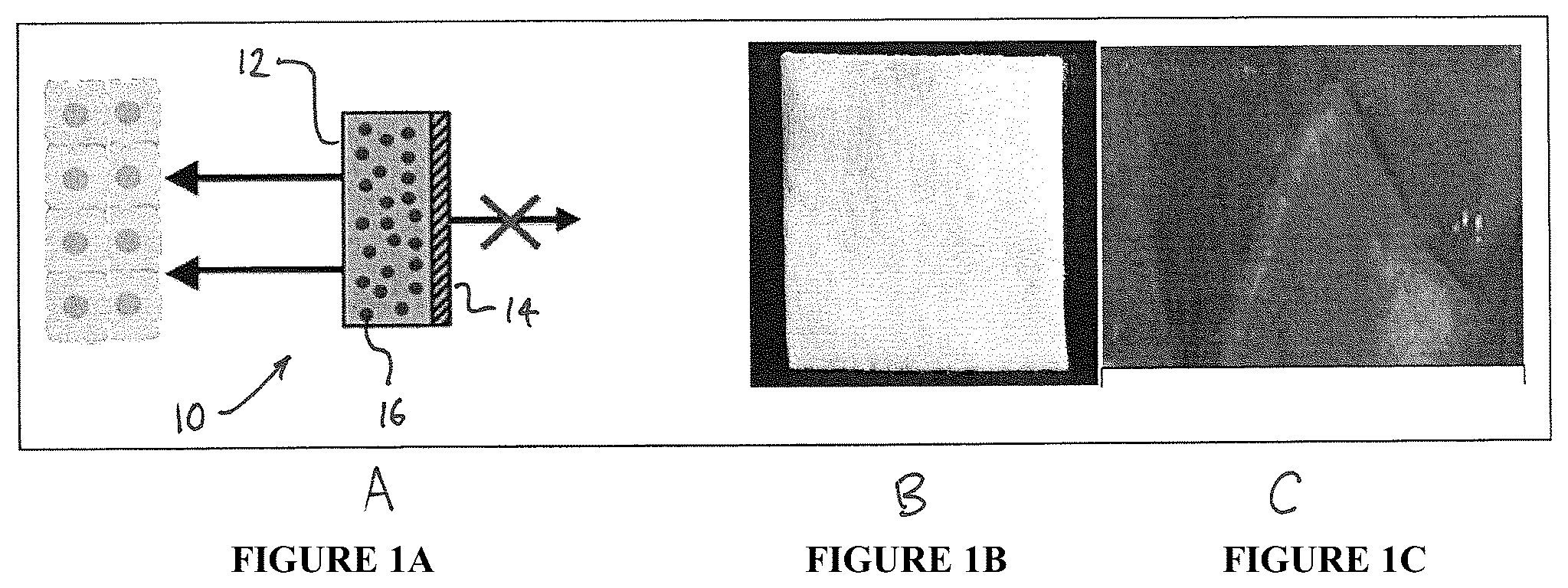 Patent US12318491 Figure 1 – Intraoperative topically-applied non-implantable rapid release patch
