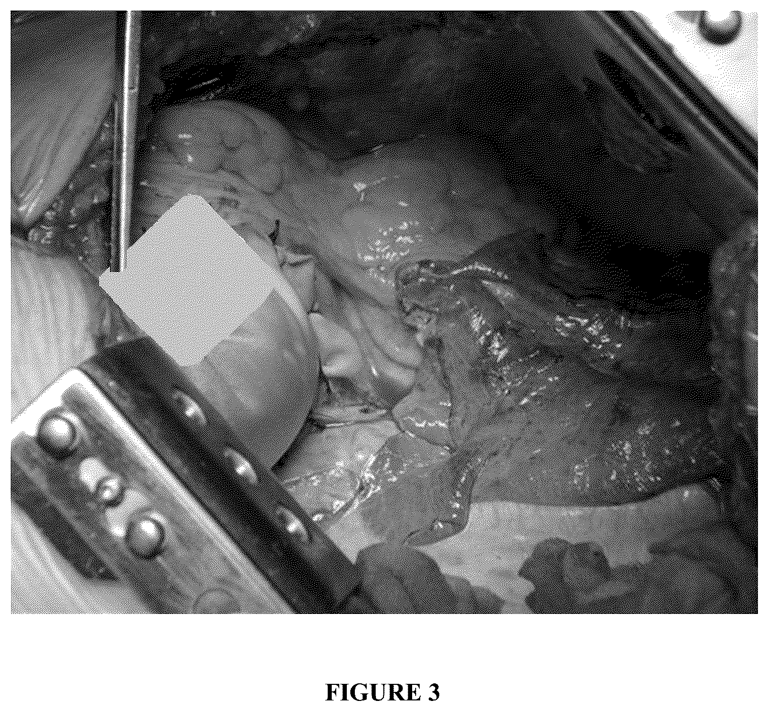 Patent US12318491 Figure 3 – Intraoperative topically-applied non-implantable rapid release patch