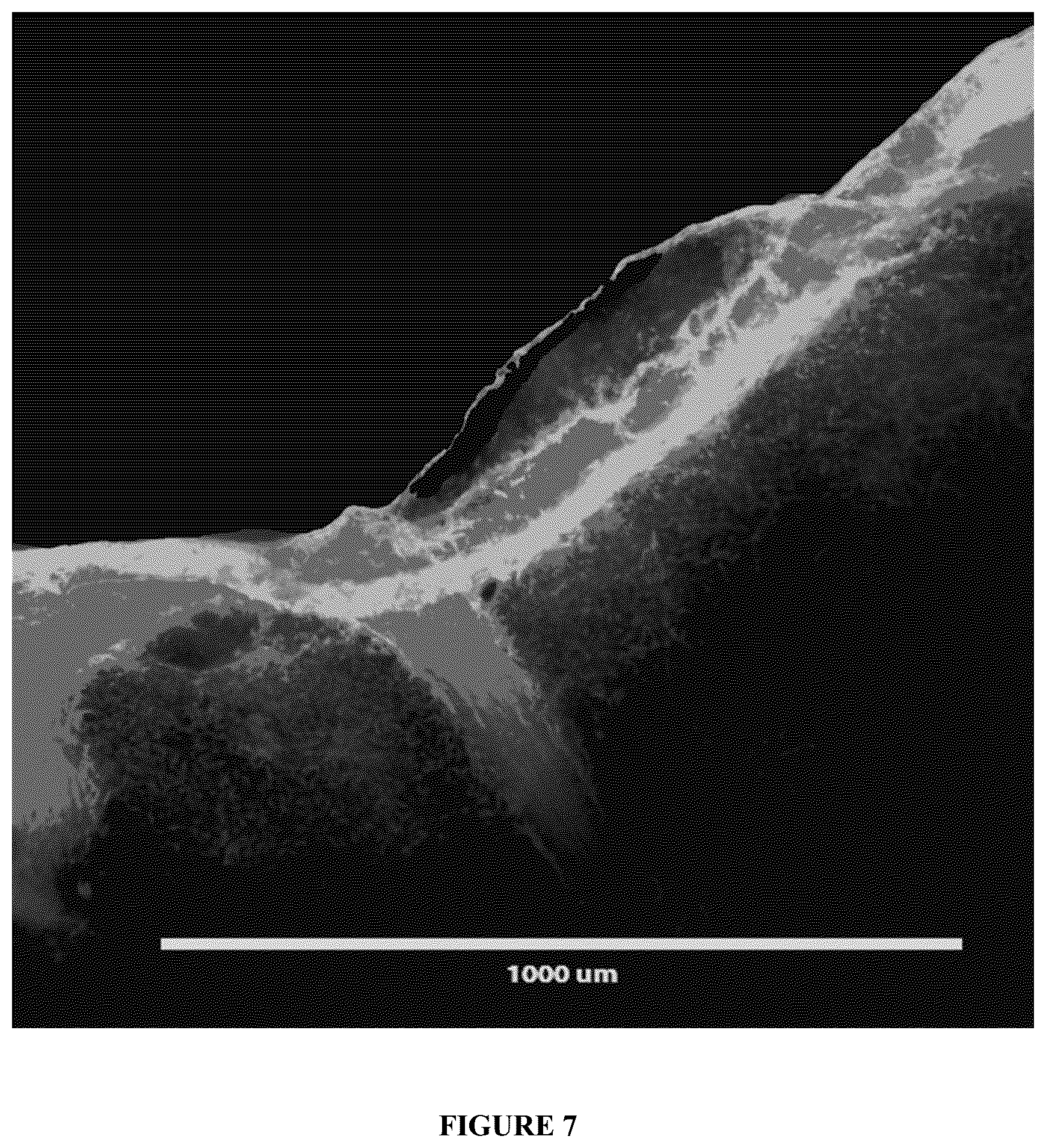 Patent US12318491 Figure 7 – Intraoperative topically-applied non-implantable rapid release patch