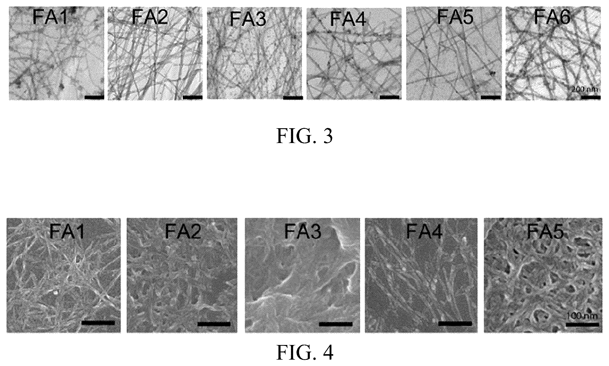 Patent US12318503 Figure 3 – Functional amyloid hydrogels and applications thereof