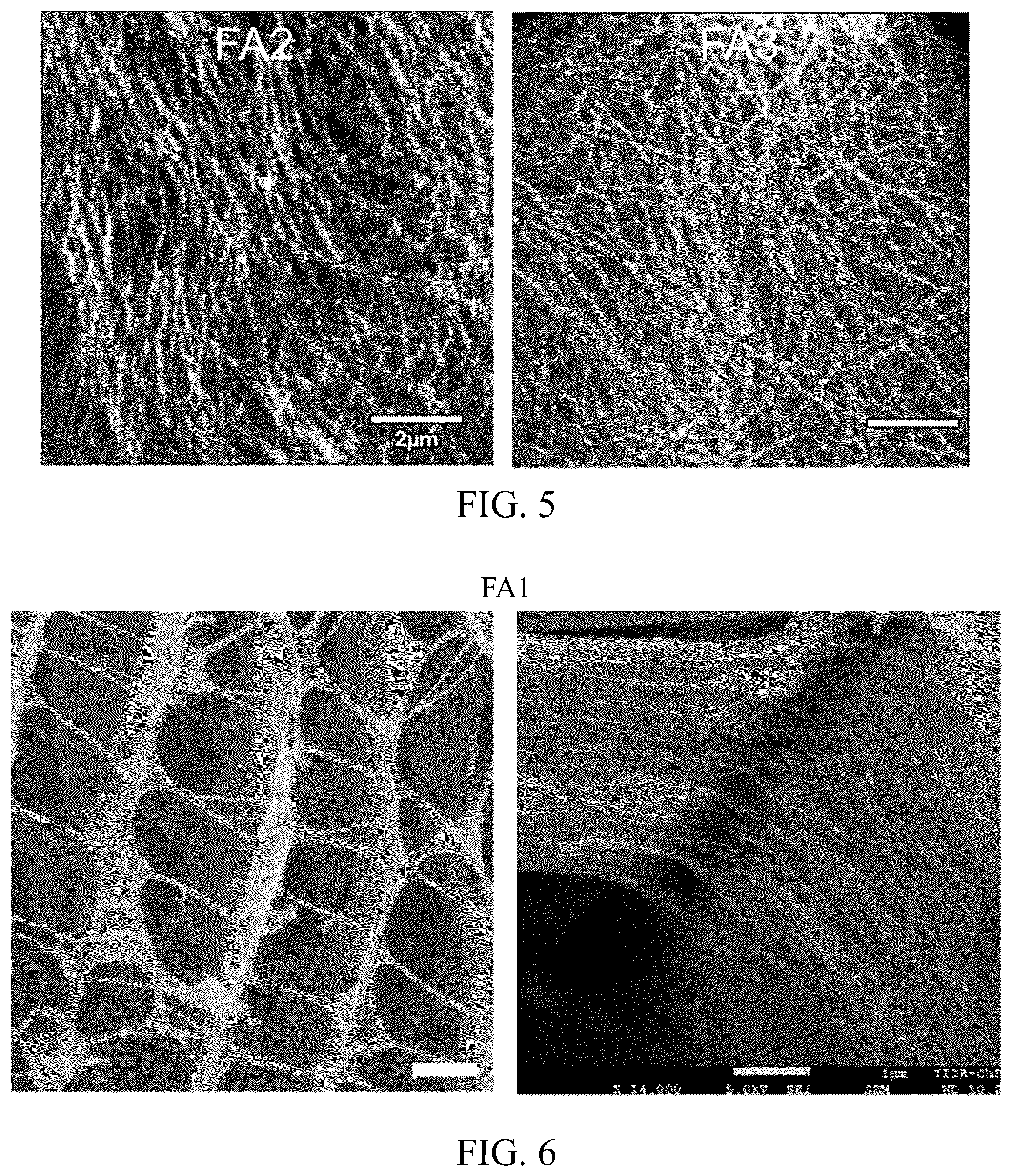 Patent US12318503 Figure 4 – Functional amyloid hydrogels and applications thereof