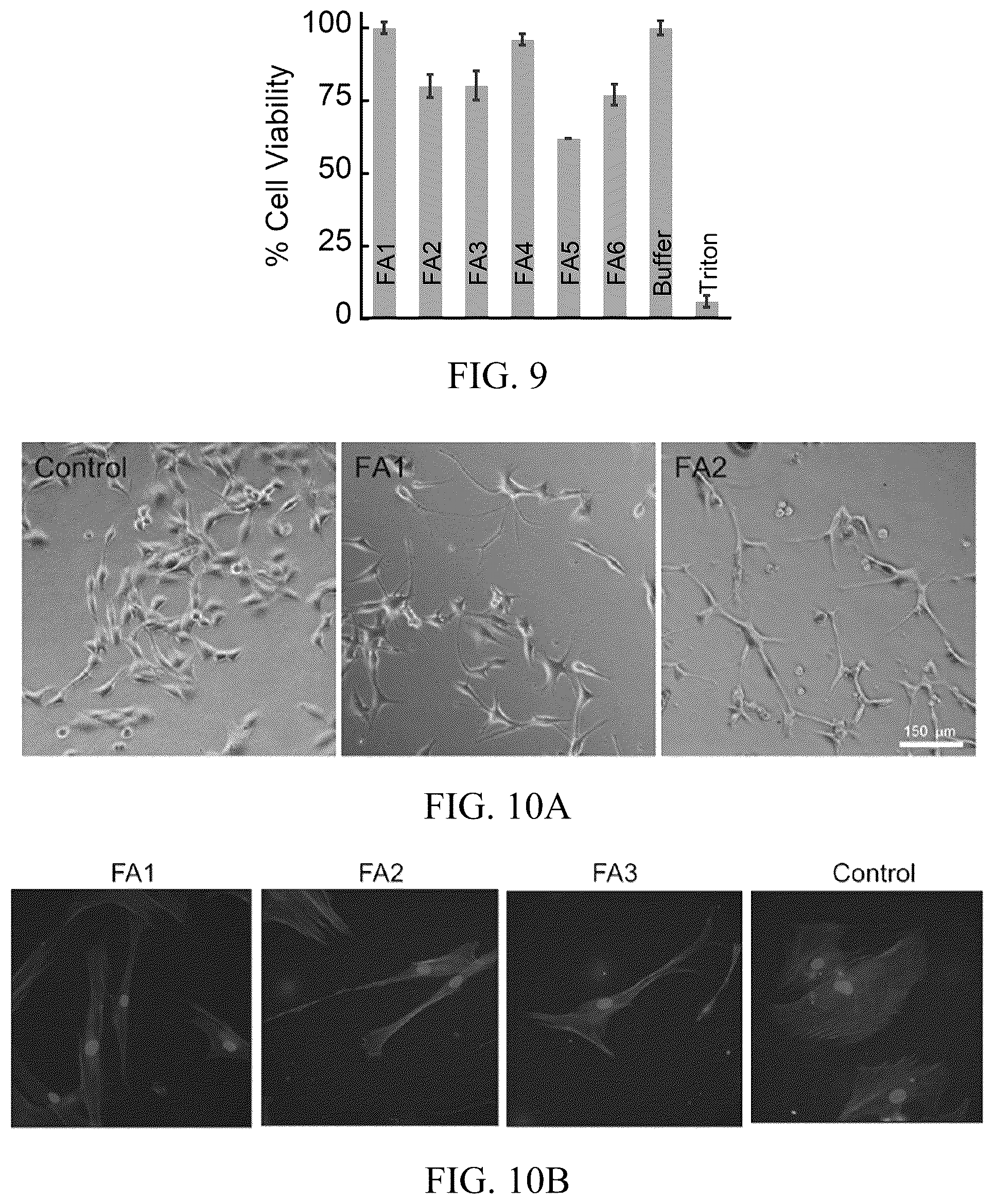 Patent US12318503 Figure 6 – Functional amyloid hydrogels and applications thereof