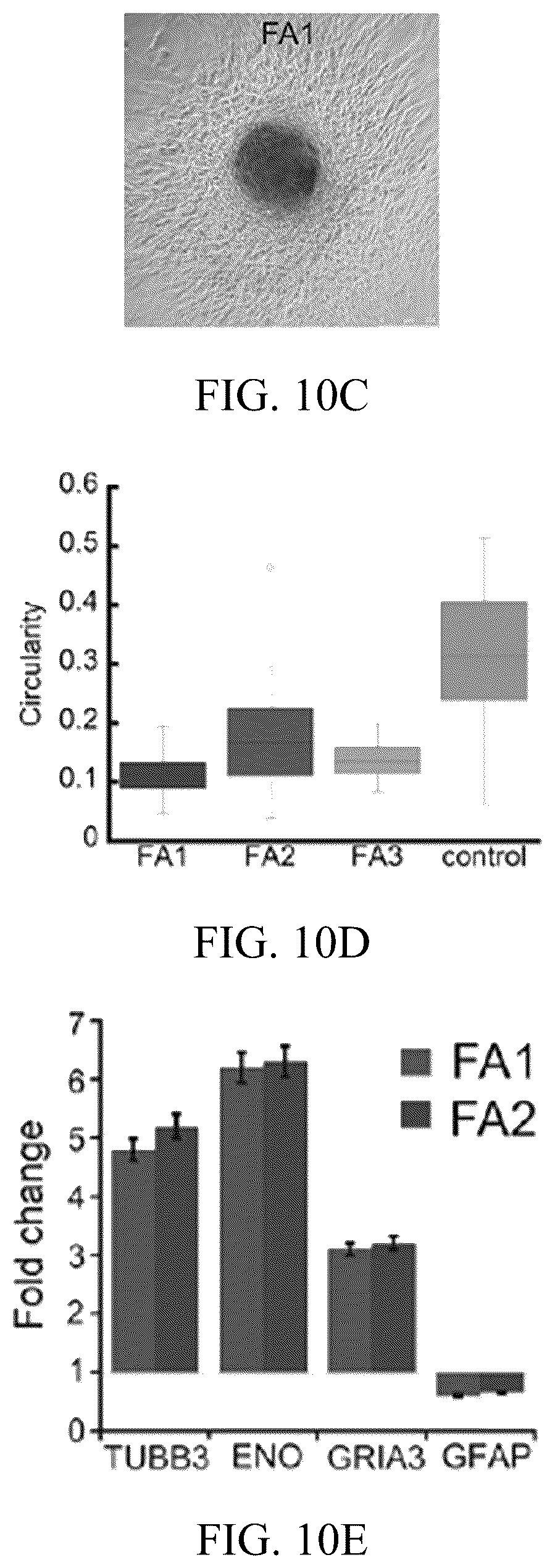 Patent US12318503 Figure 7 – Functional amyloid hydrogels and applications thereof