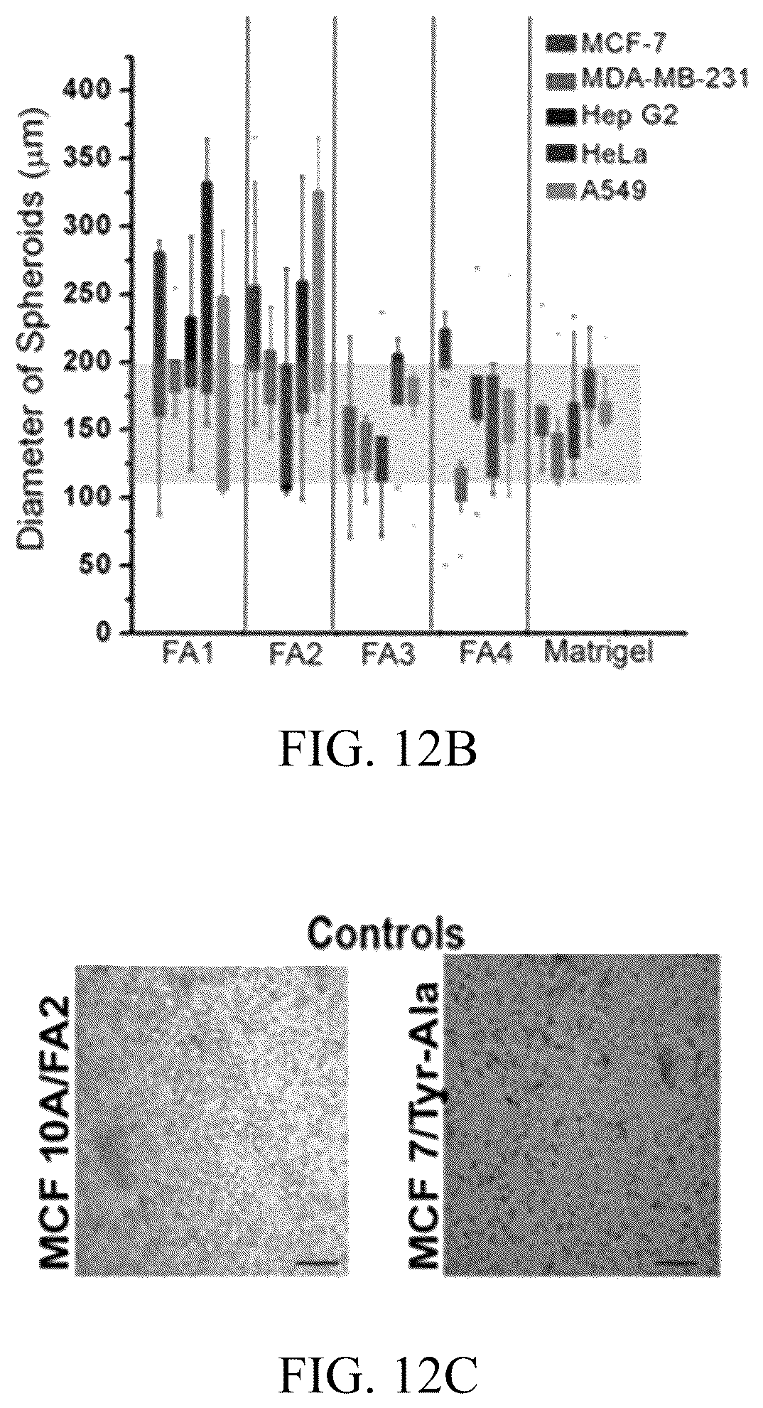 Patent US12318503 Figure 10 – Functional amyloid hydrogels and applications thereof