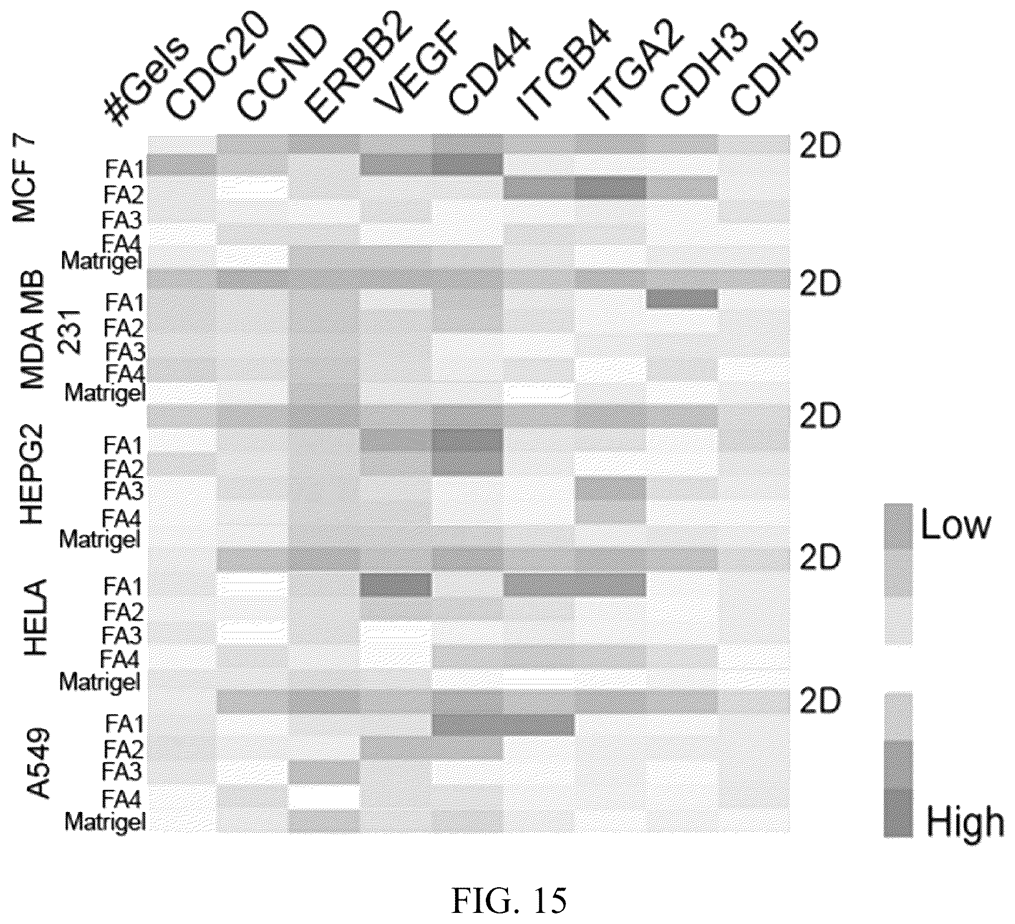 Patent US12318503 Figure 13 – Functional amyloid hydrogels and applications thereof