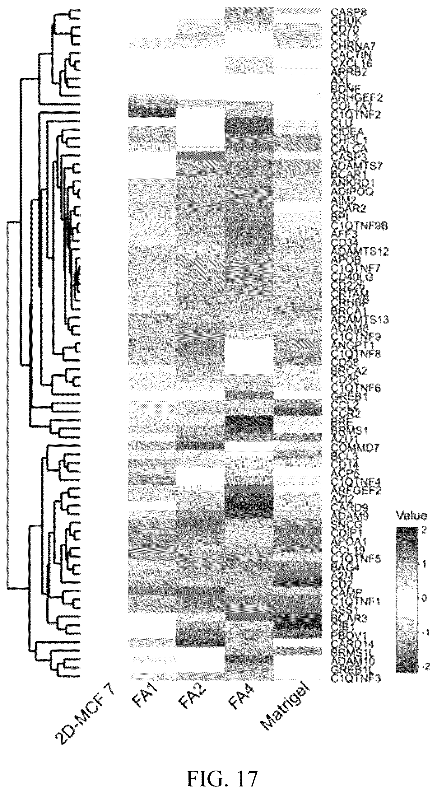 Patent US12318503 Figure 15 – Functional amyloid hydrogels and applications thereof
