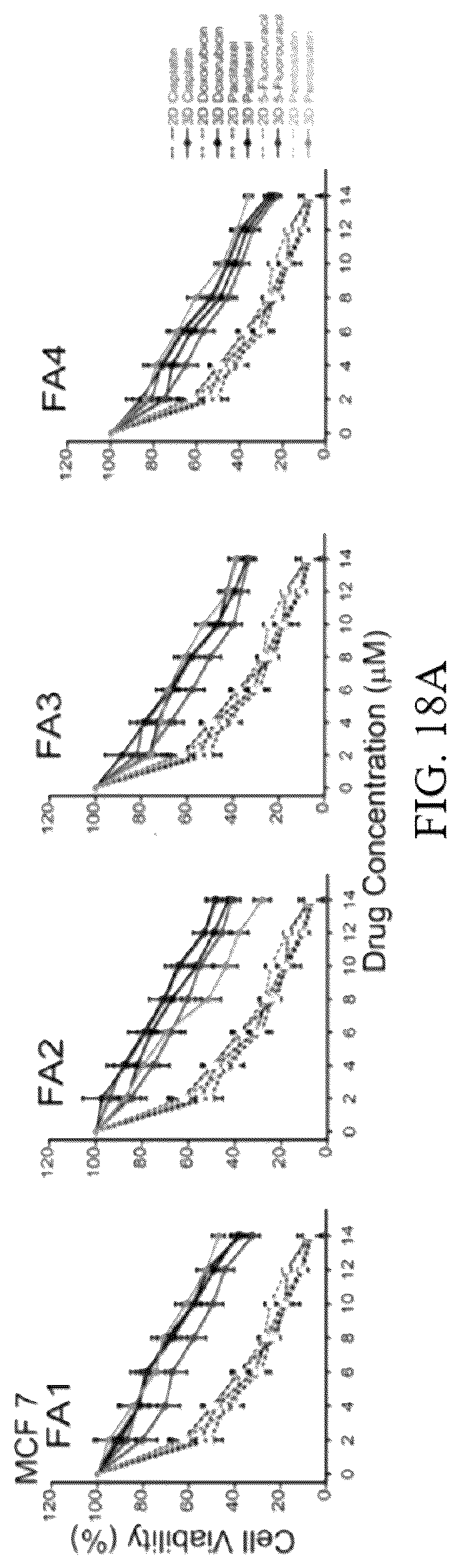 Patent US12318503 Figure 16 – Functional amyloid hydrogels and applications thereof