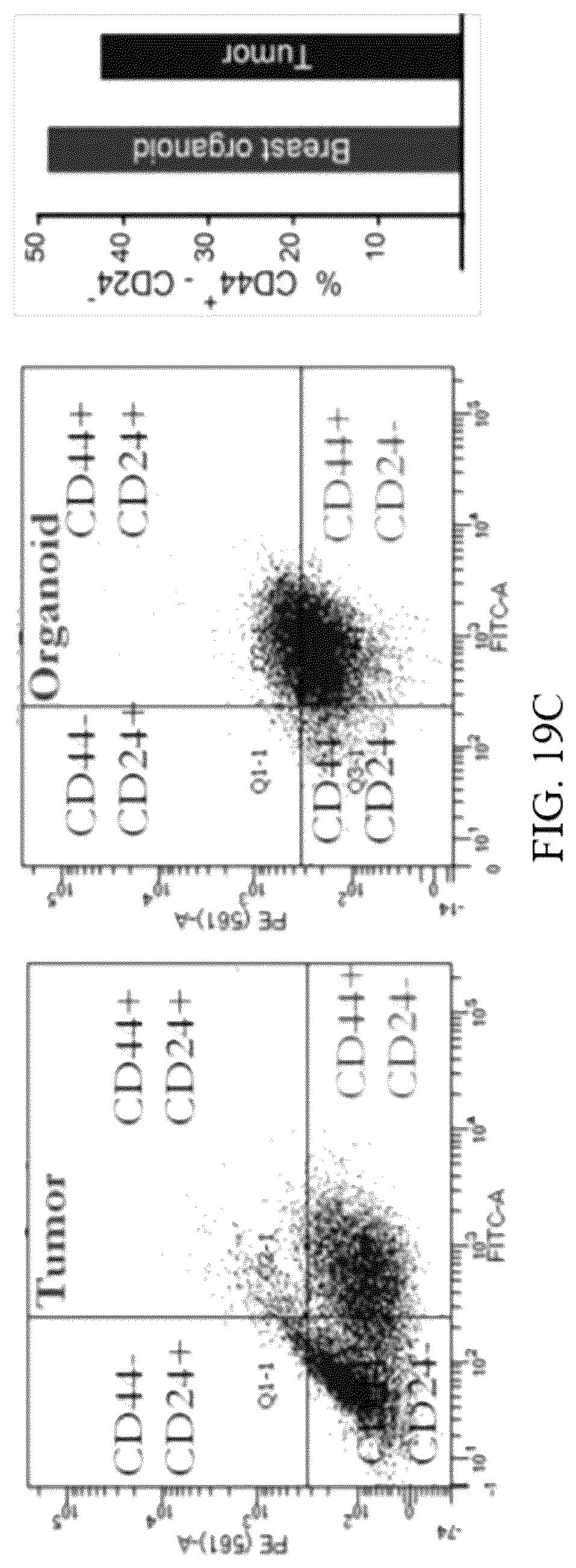 Patent US12318503 Figure 19 – Functional amyloid hydrogels and applications thereof