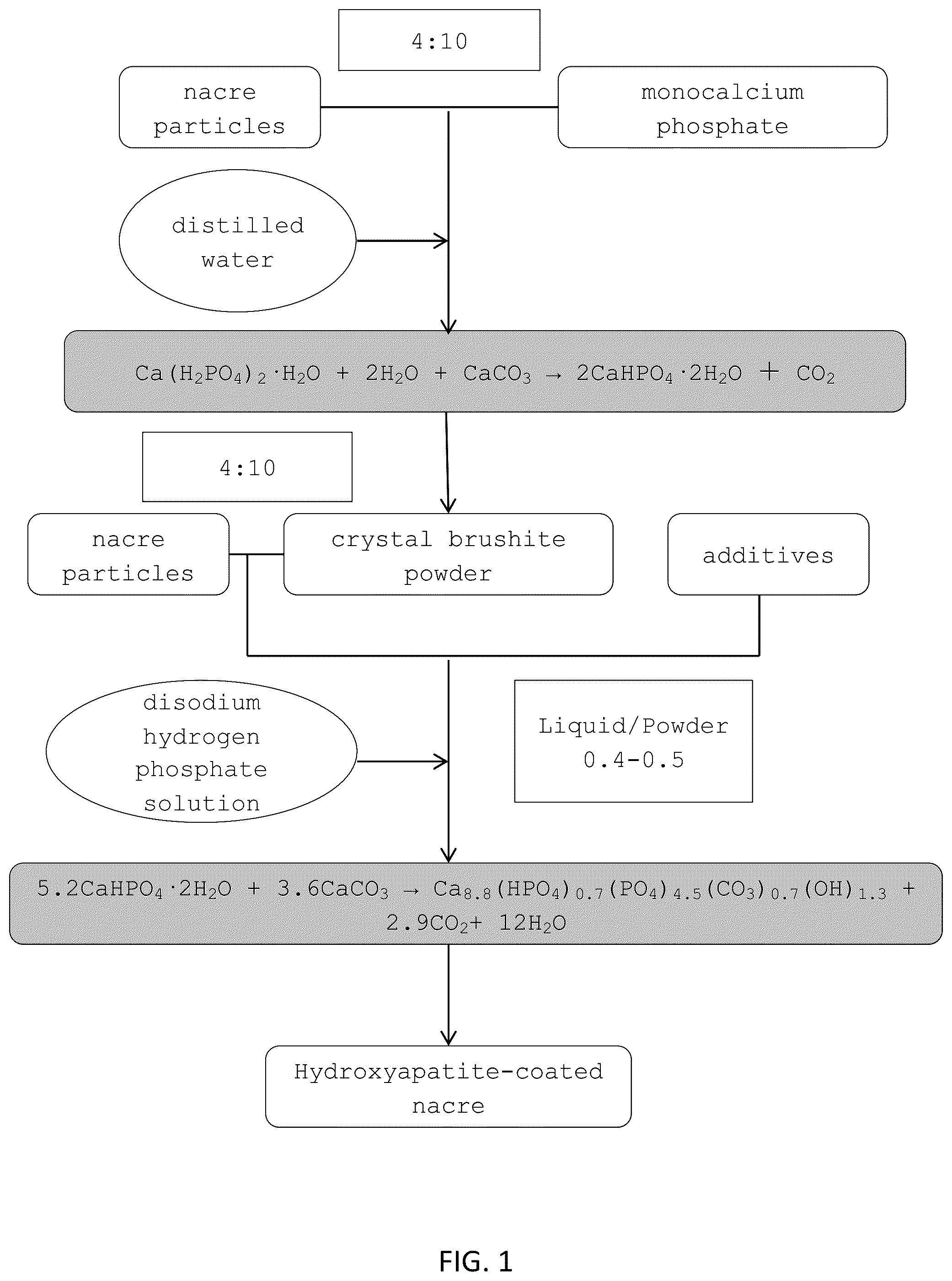 Patent US12318504 — Method for manufacturing a calcified tissue substitute — Figure 1