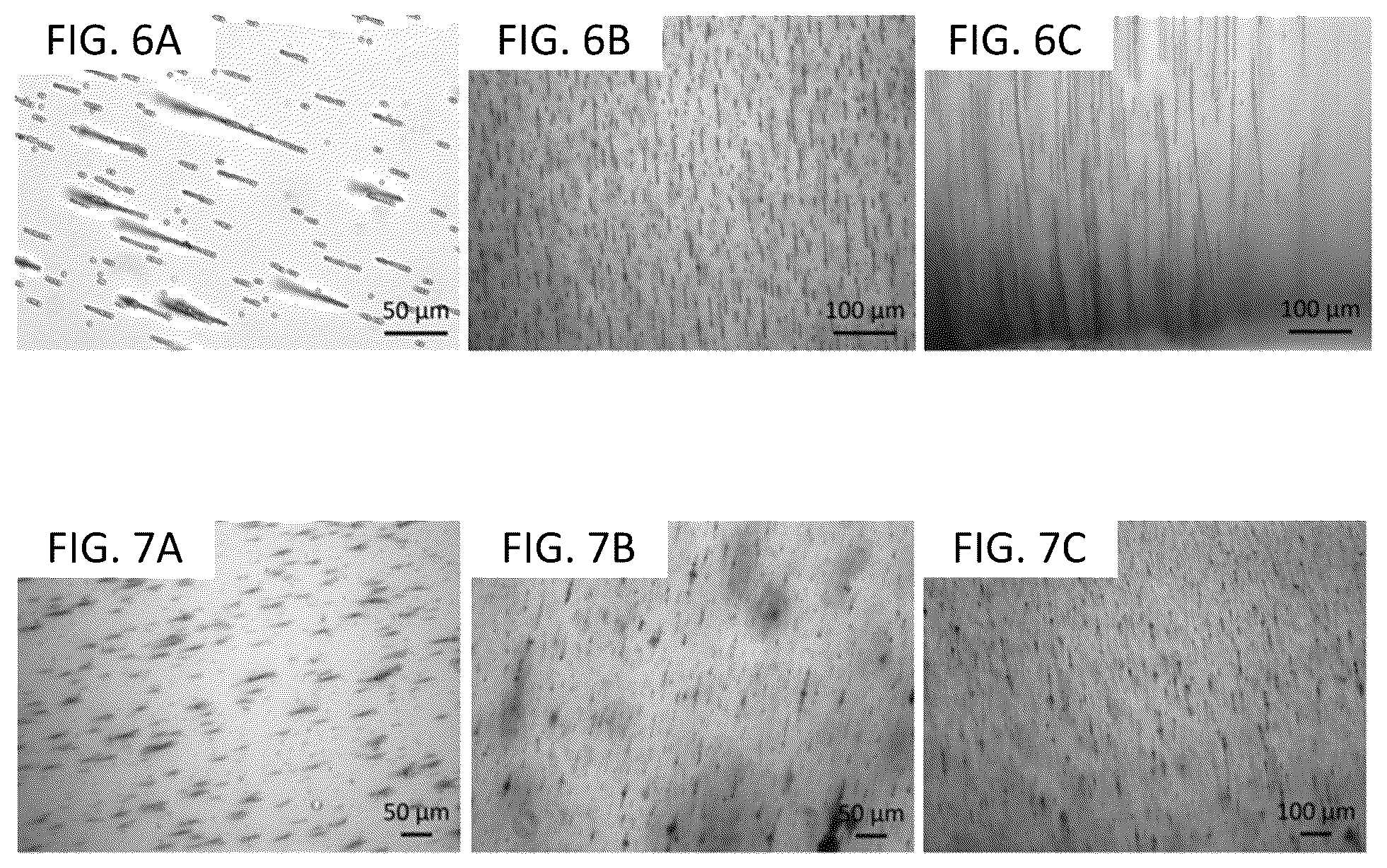 Patent US12318509 Figure 4 – Magnetically templated tissue engineering scaffolds and methods of making and using the magnetically templated tissue engineering scaffolds