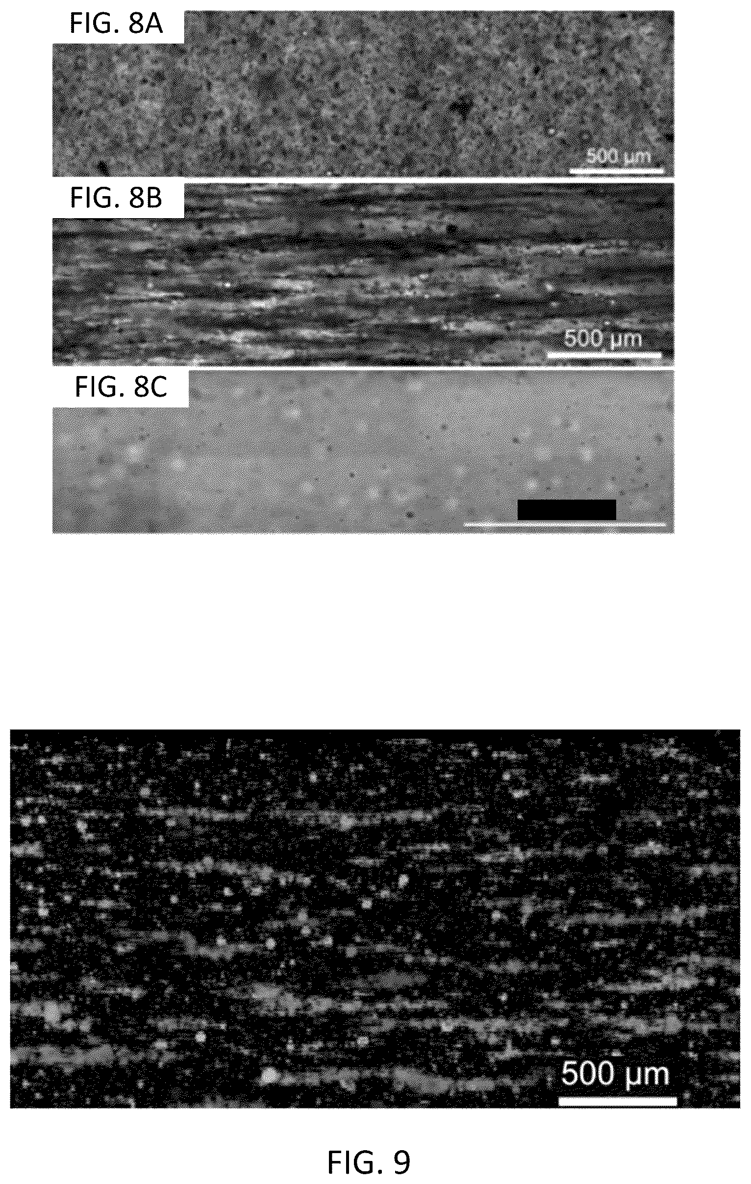 Patent US12318509 Figure 5 – Magnetically templated tissue engineering scaffolds and methods of making and using the magnetically templated tissue engineering scaffolds