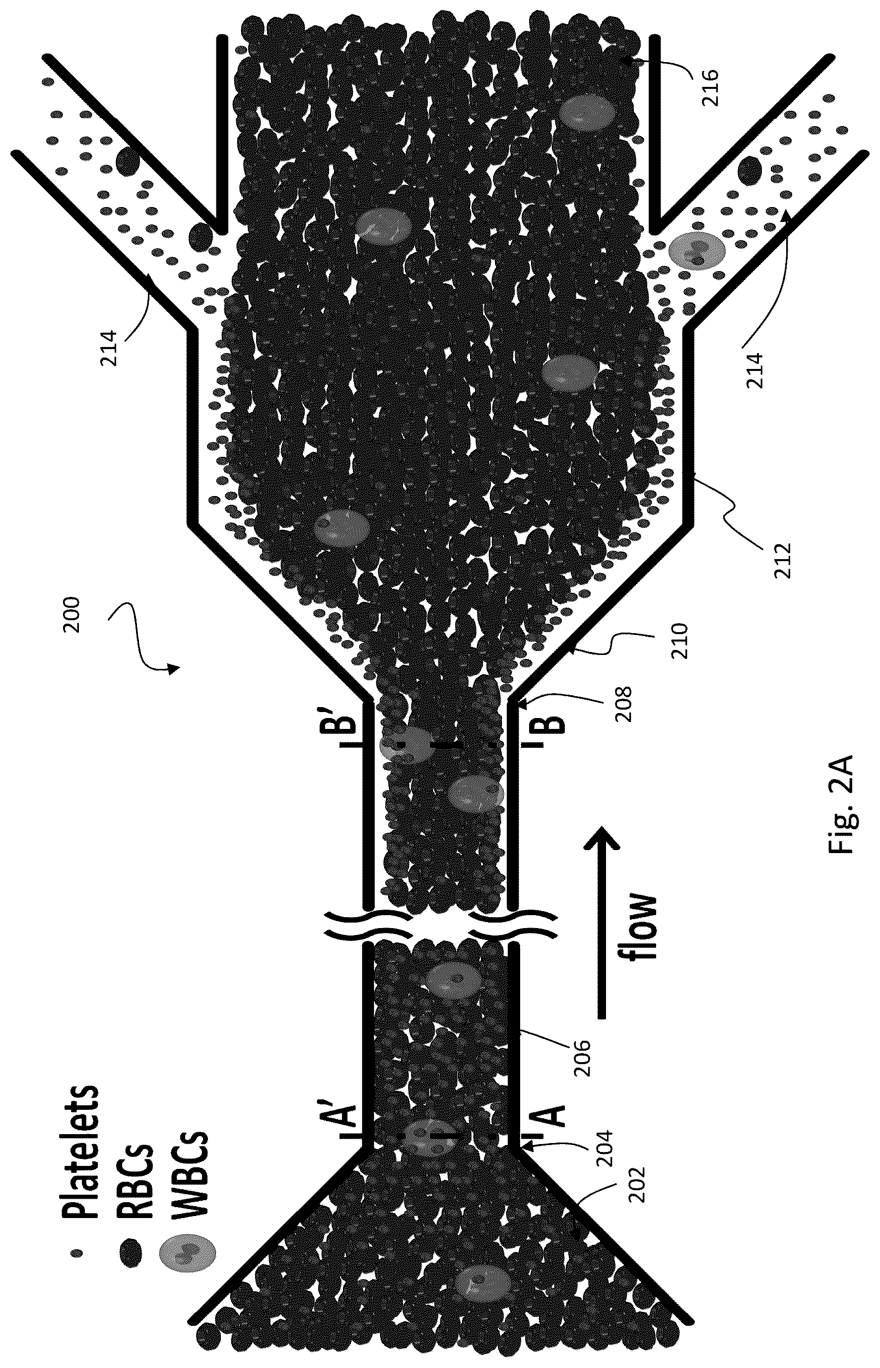 Patent US12318524 Figure 2 – Portable platelet apheresis system