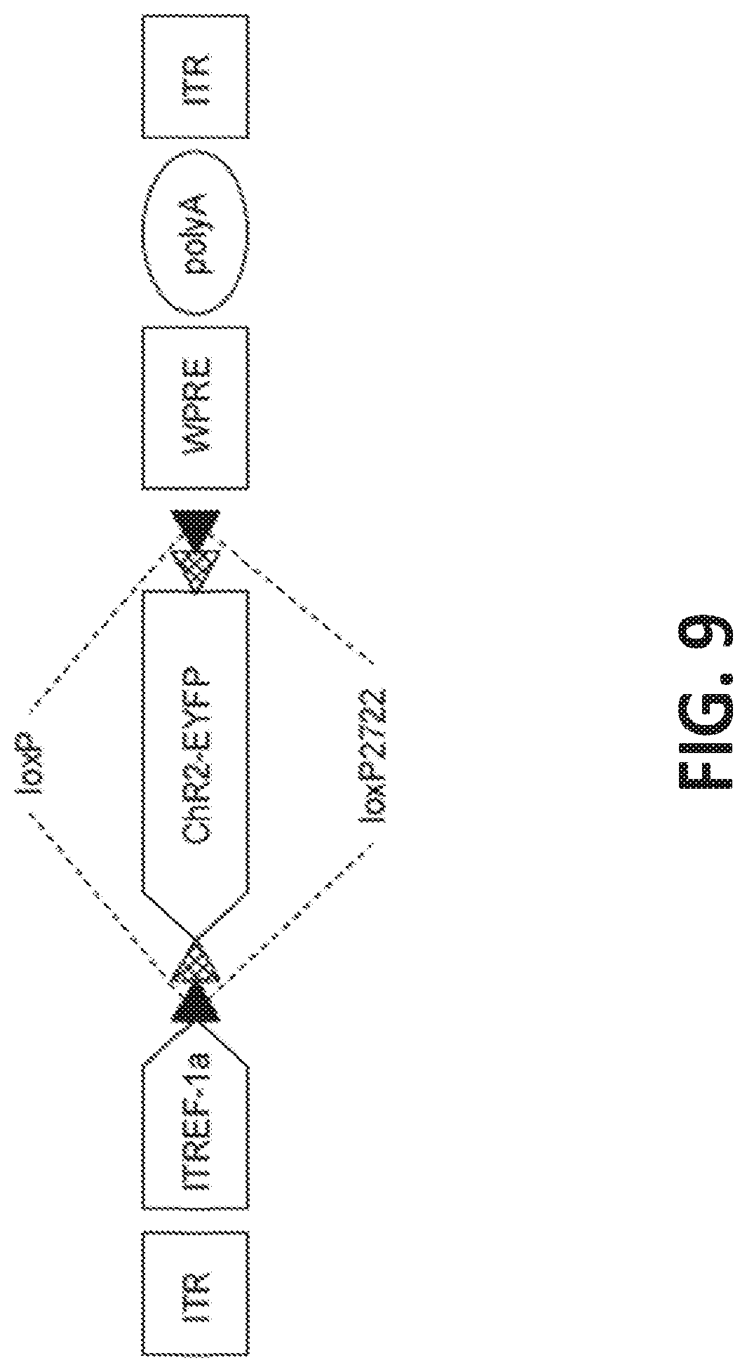 Patent US12318549 Figure 9 – Methods and devices for providing a stimulus to a subject to induce gamma oscillations