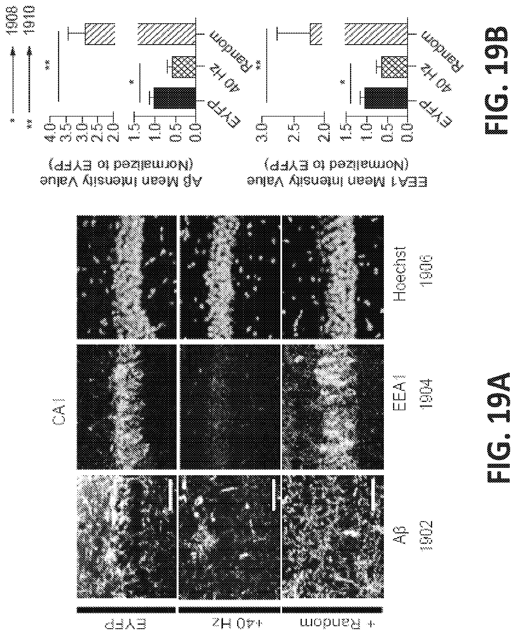 Patent US12318549 Figure 19 – Methods and devices for providing a stimulus to a subject to induce gamma oscillations