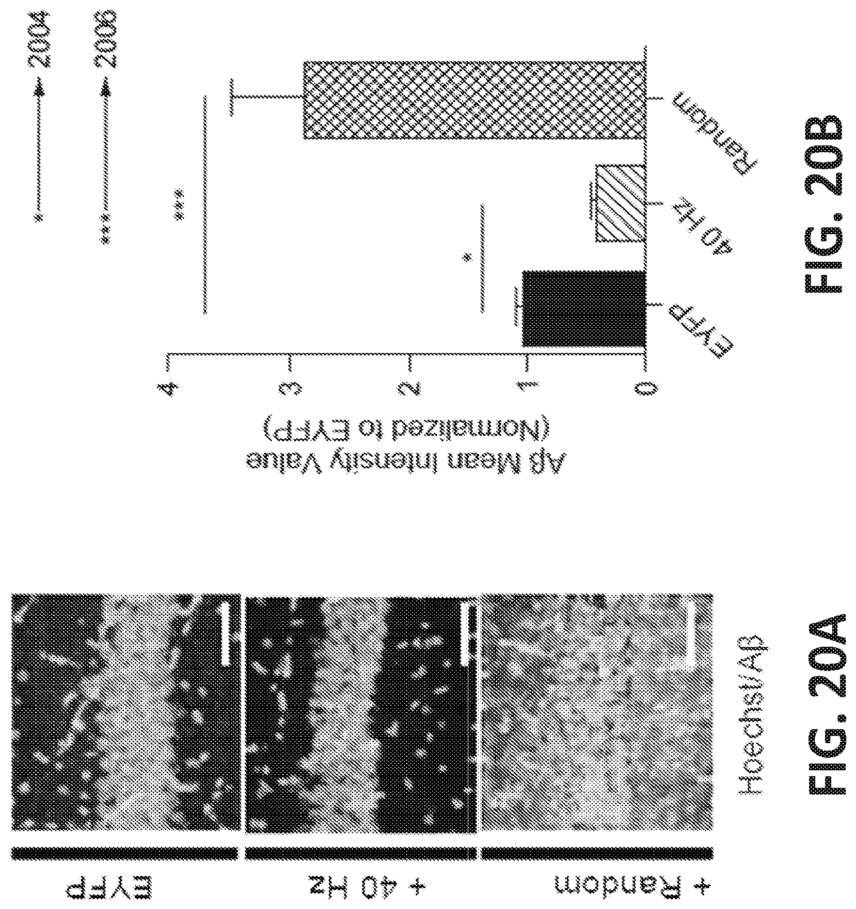 Patent US12318549 Figure 20 – Methods and devices for providing a stimulus to a subject to induce gamma oscillations