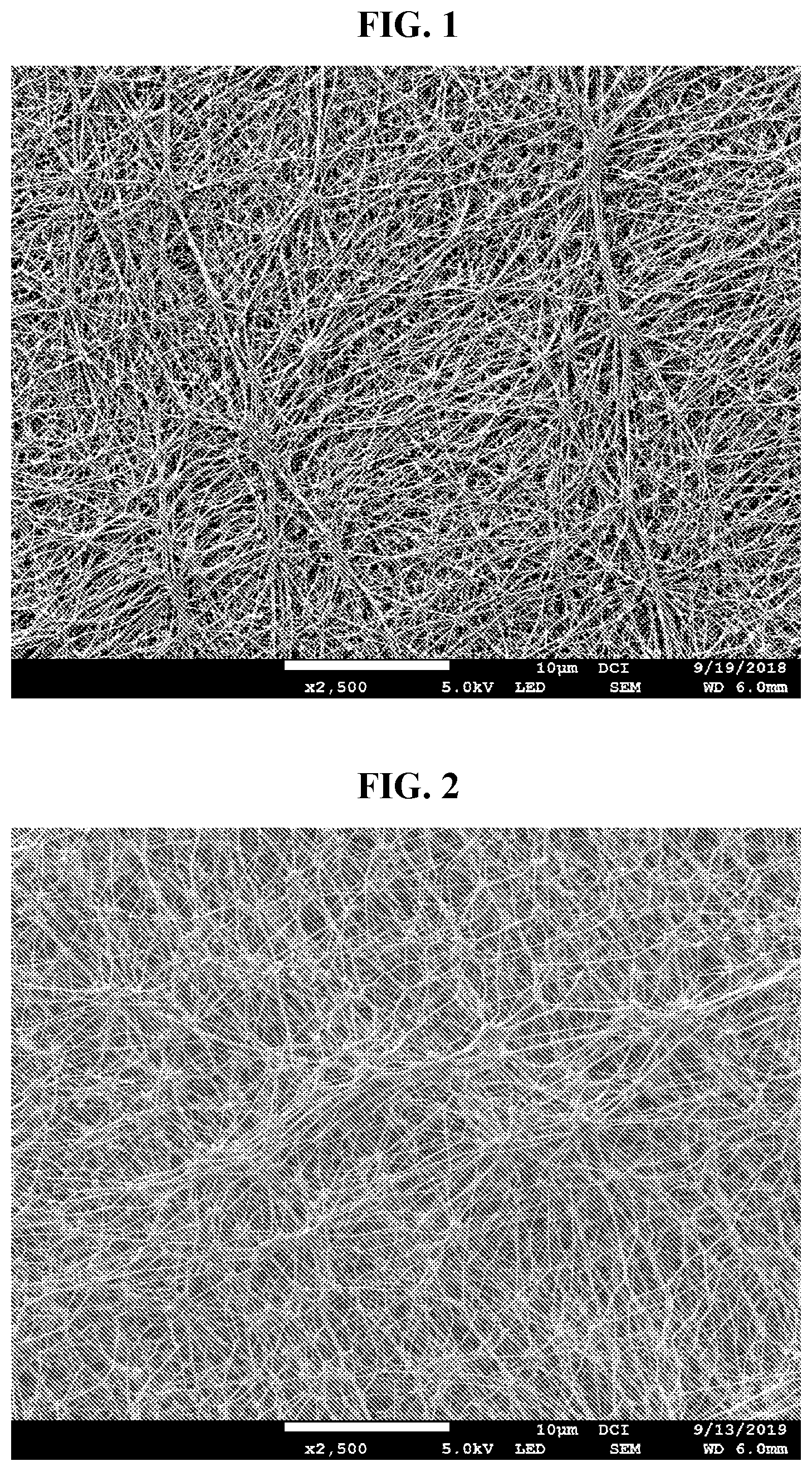 Patent US12318722 Figure 1 – Porous PTFE membrane