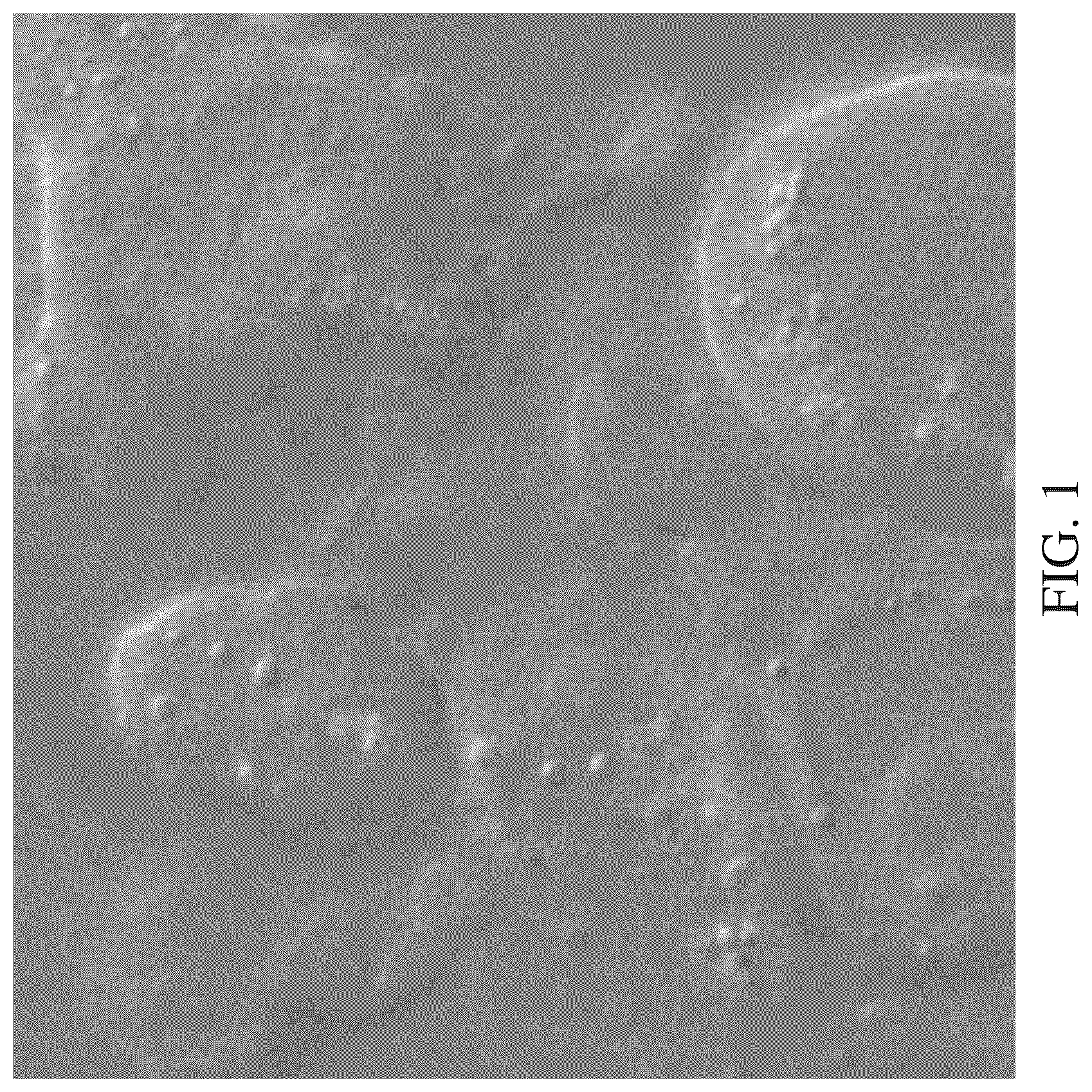 Patent US12318733 Figure 1 – Systems and methods of marker based direct integrity testing of membranes