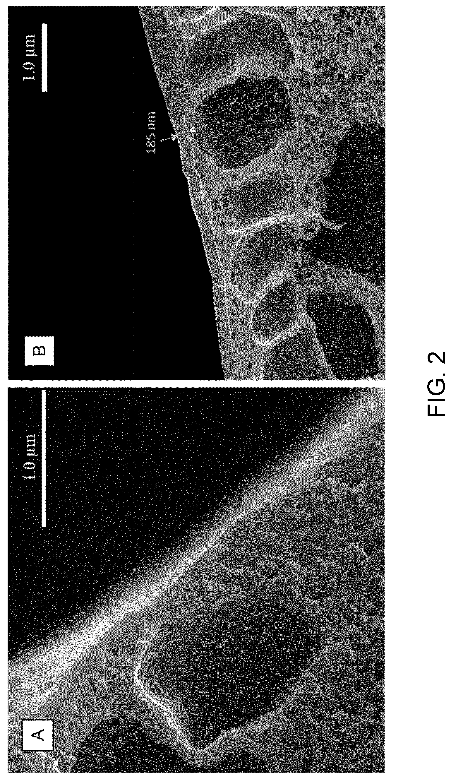Patent US12318736 Figure 2 – Gas separation membranes