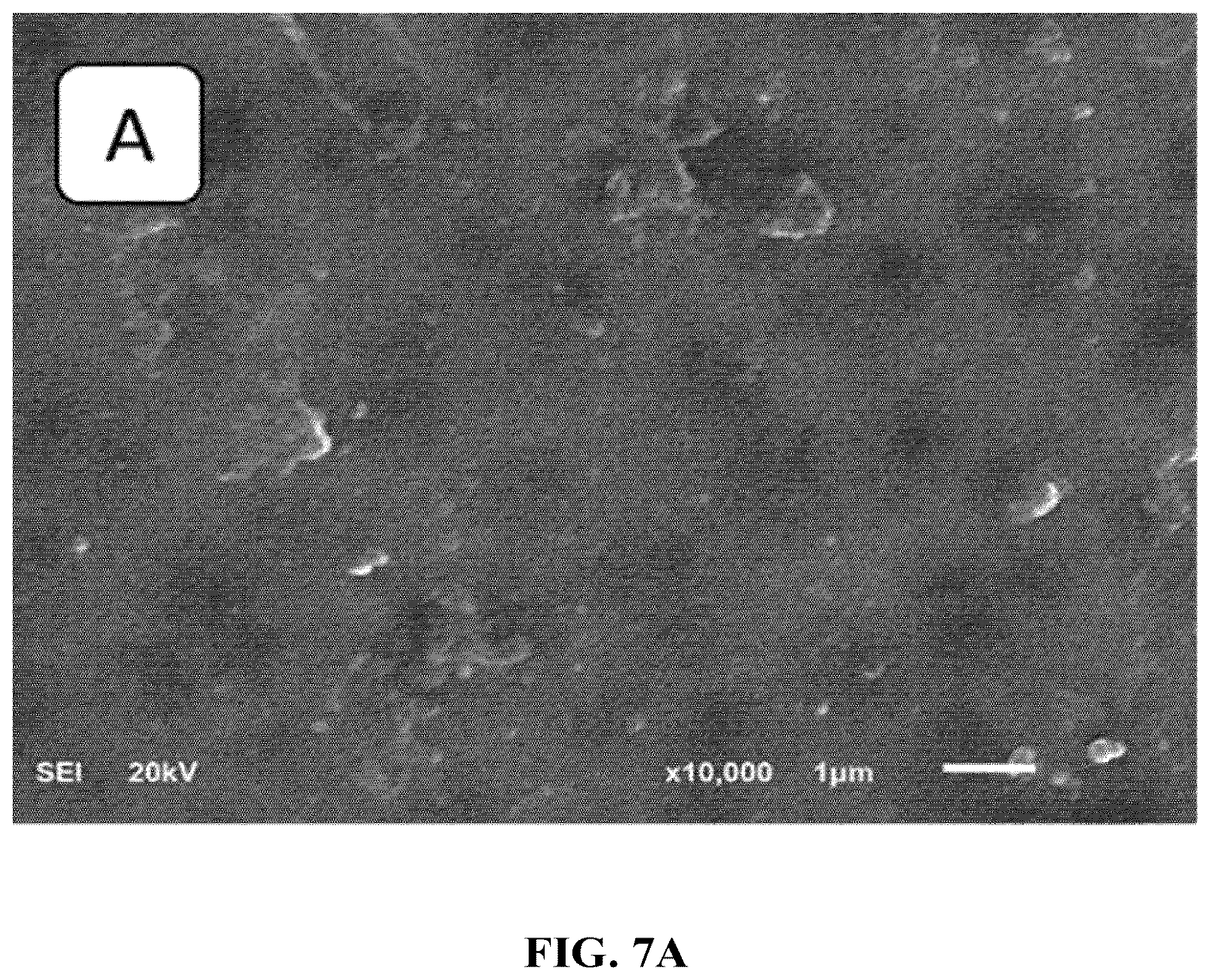 Patent US12318737 Figure 7 – Adsorbent cartridge for oil/water separation