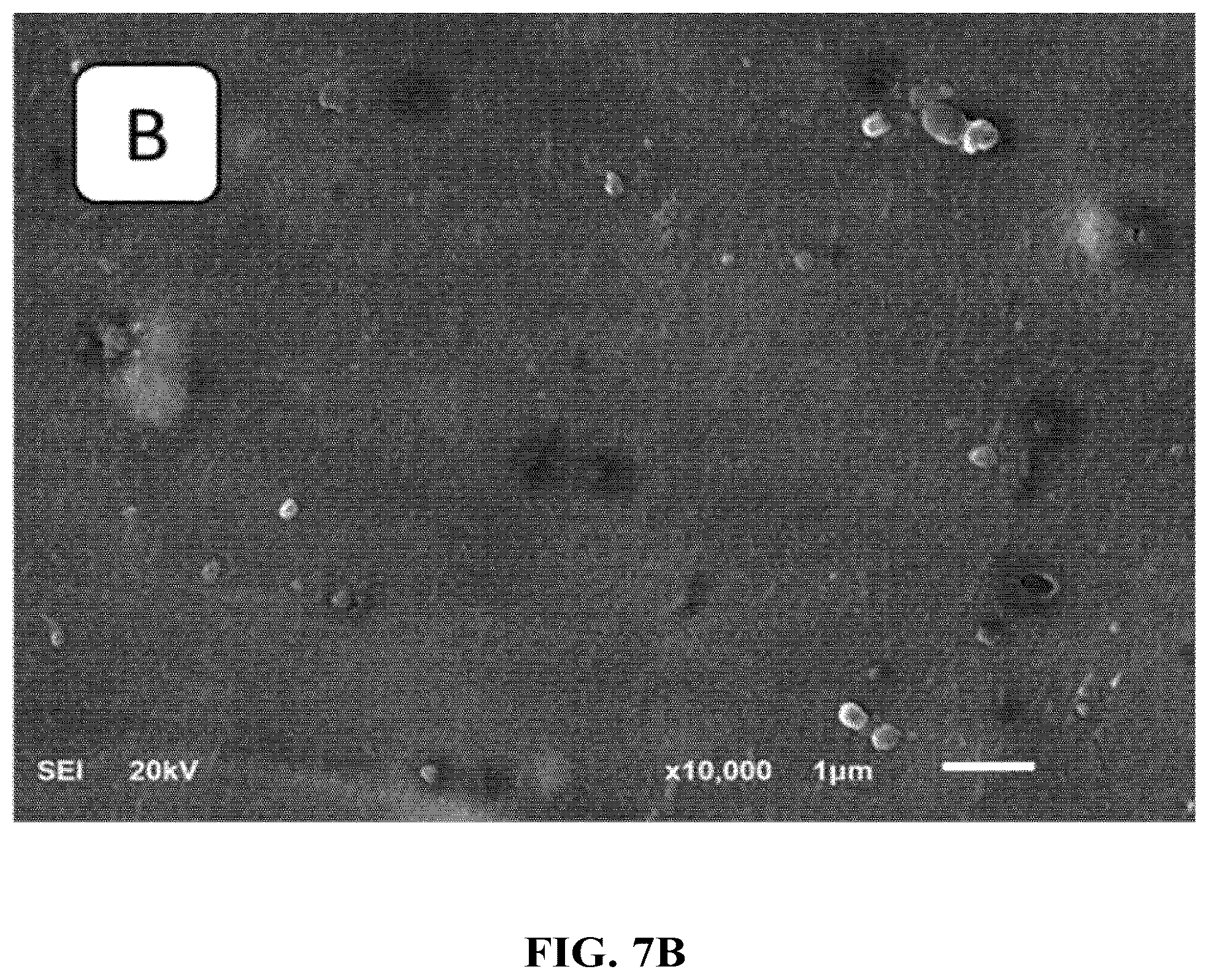 Patent US12318737 Figure 8 – Adsorbent cartridge for oil/water separation