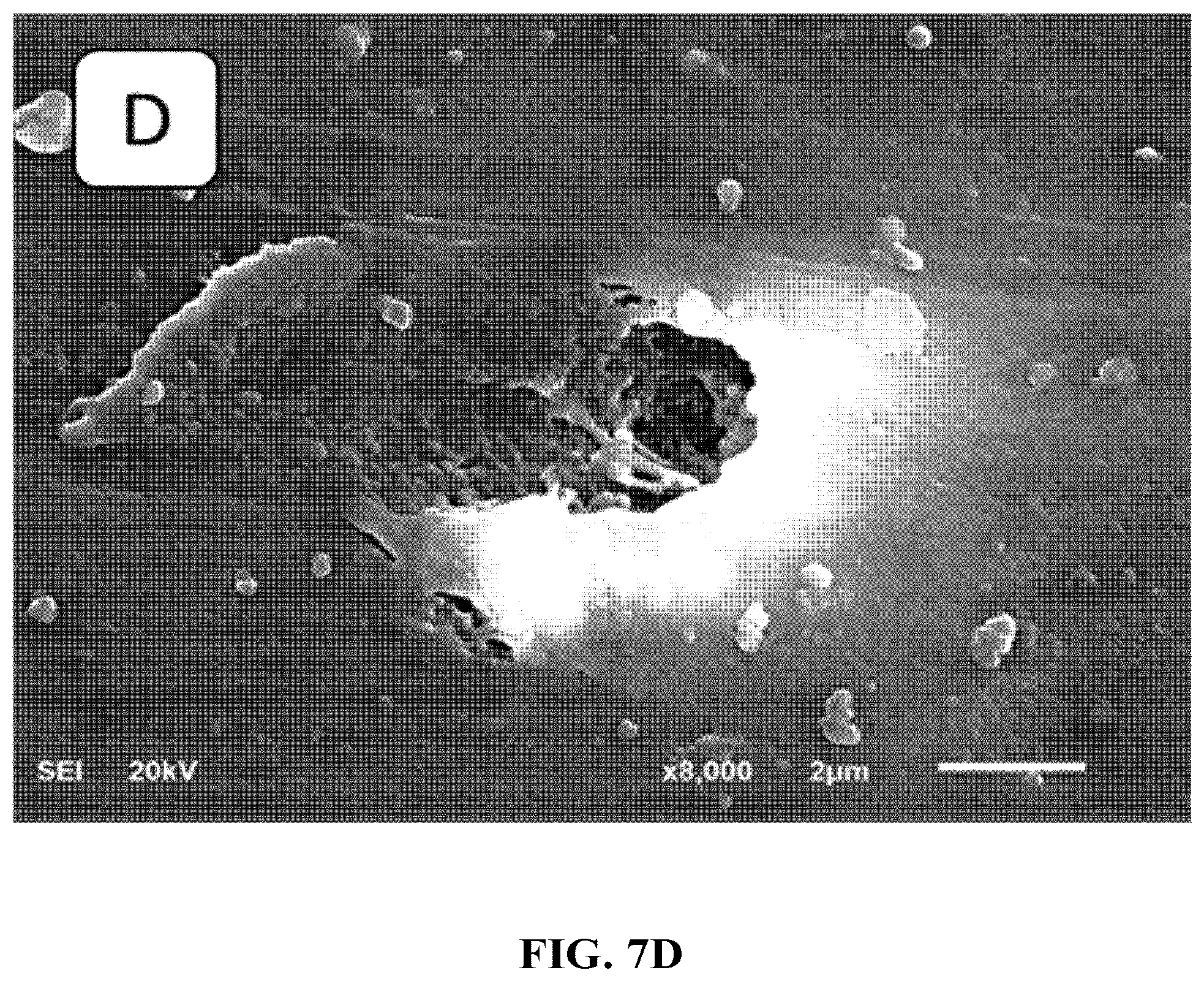 Patent US12318737 Figure 10 – Adsorbent cartridge for oil/water separation