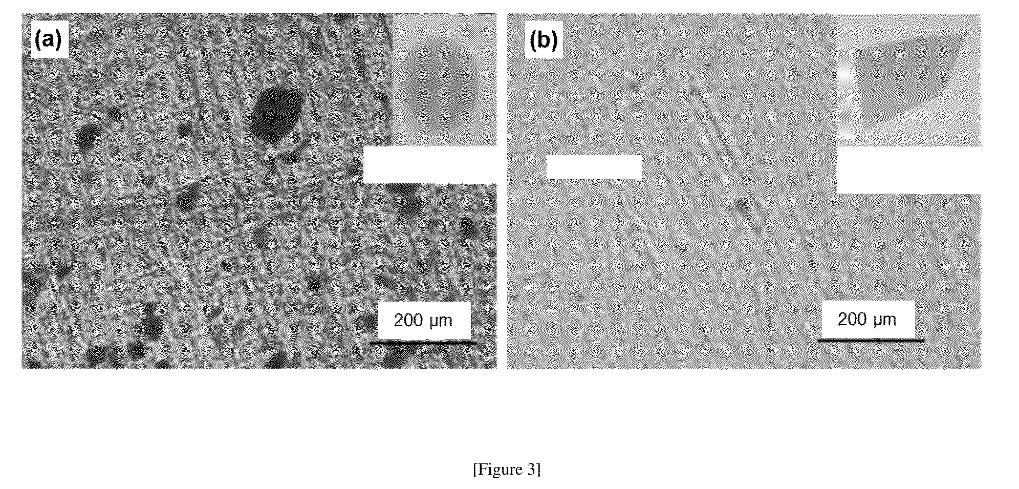 Patent US12318752 Figure 3 – Composite material and a method of preparing the same