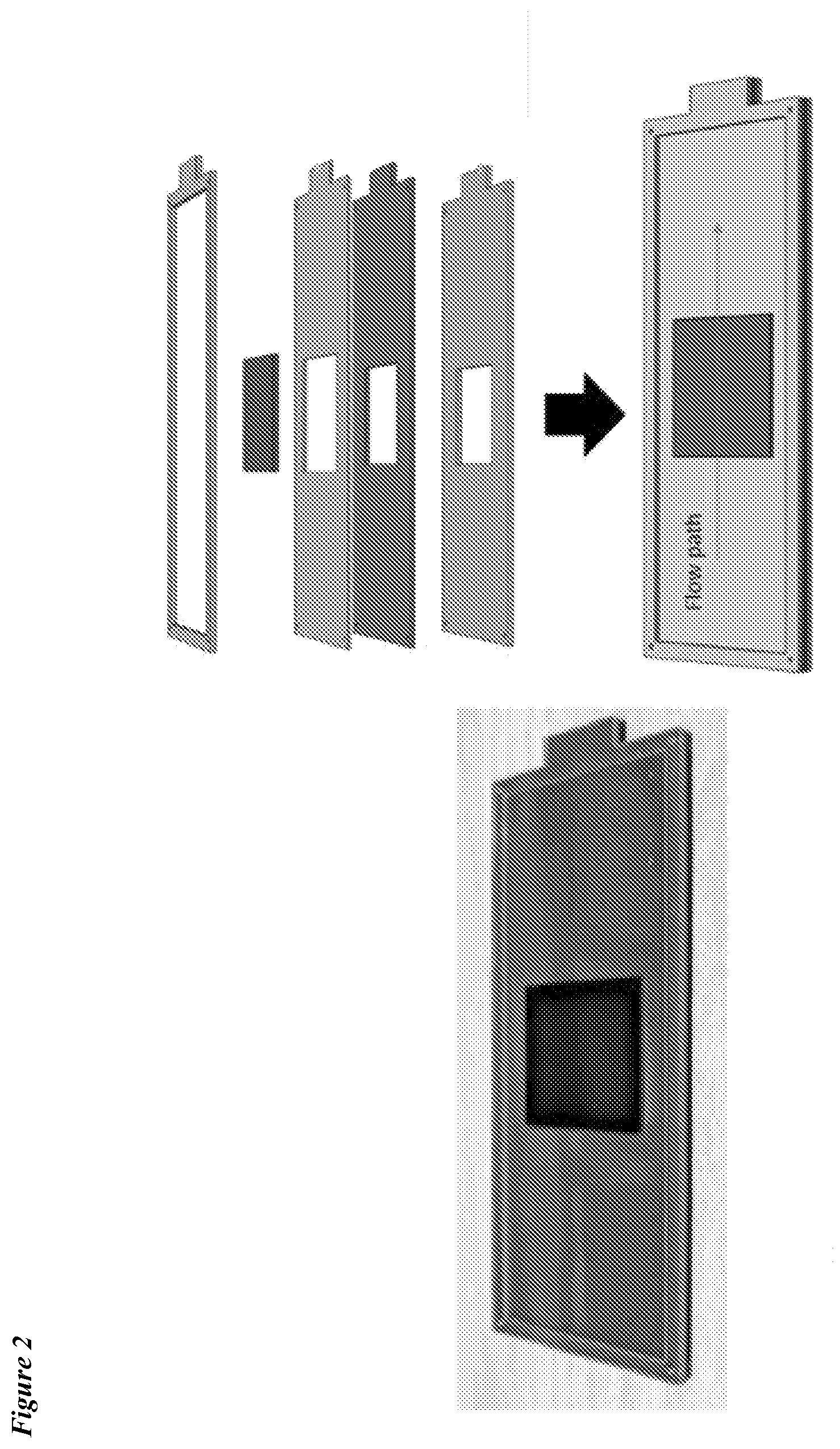 Patent US12318775 Figure 2 – Lateral loading of microcapillary arrays