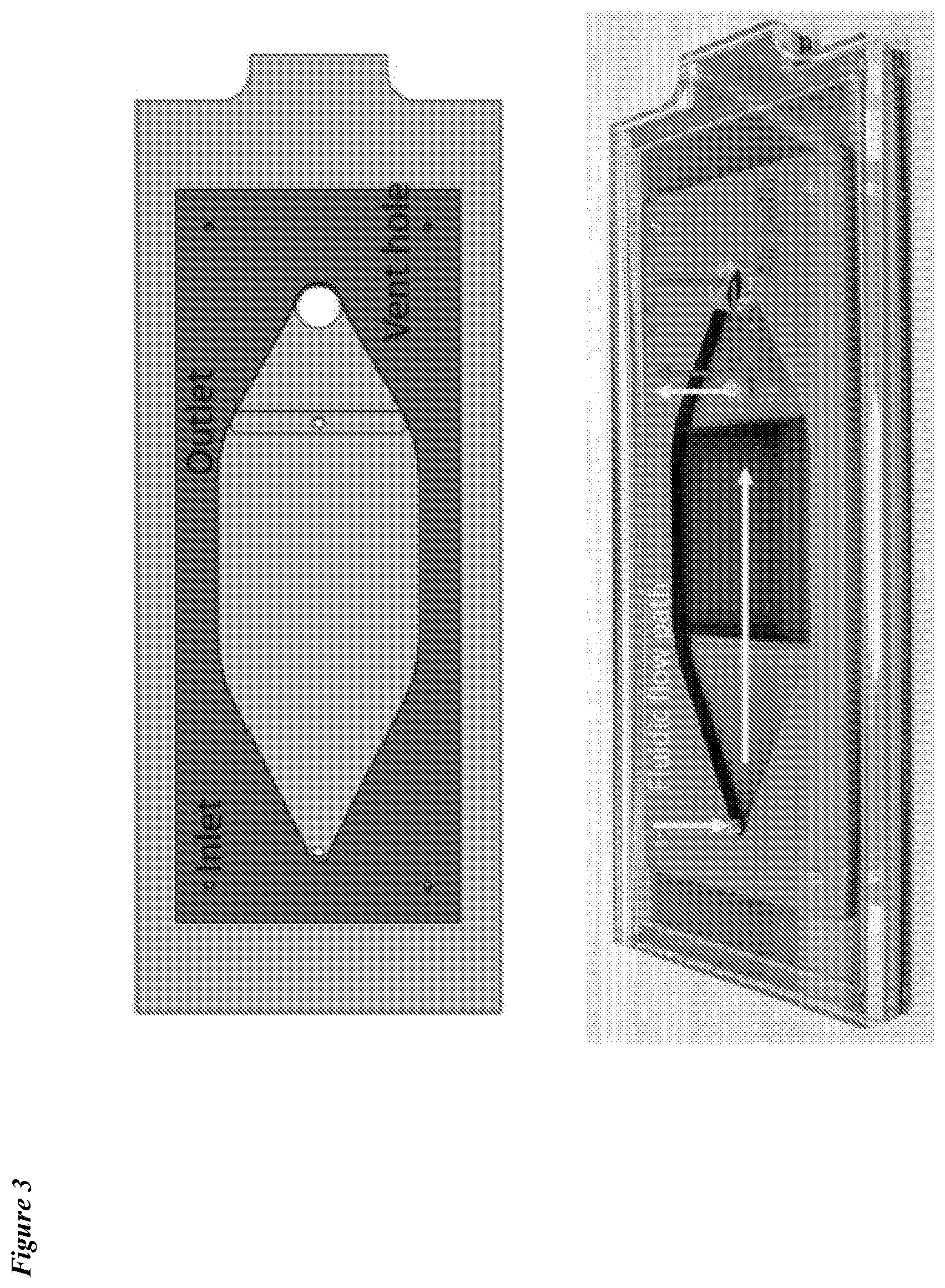Patent US12318775 Figure 3 – Lateral loading of microcapillary arrays