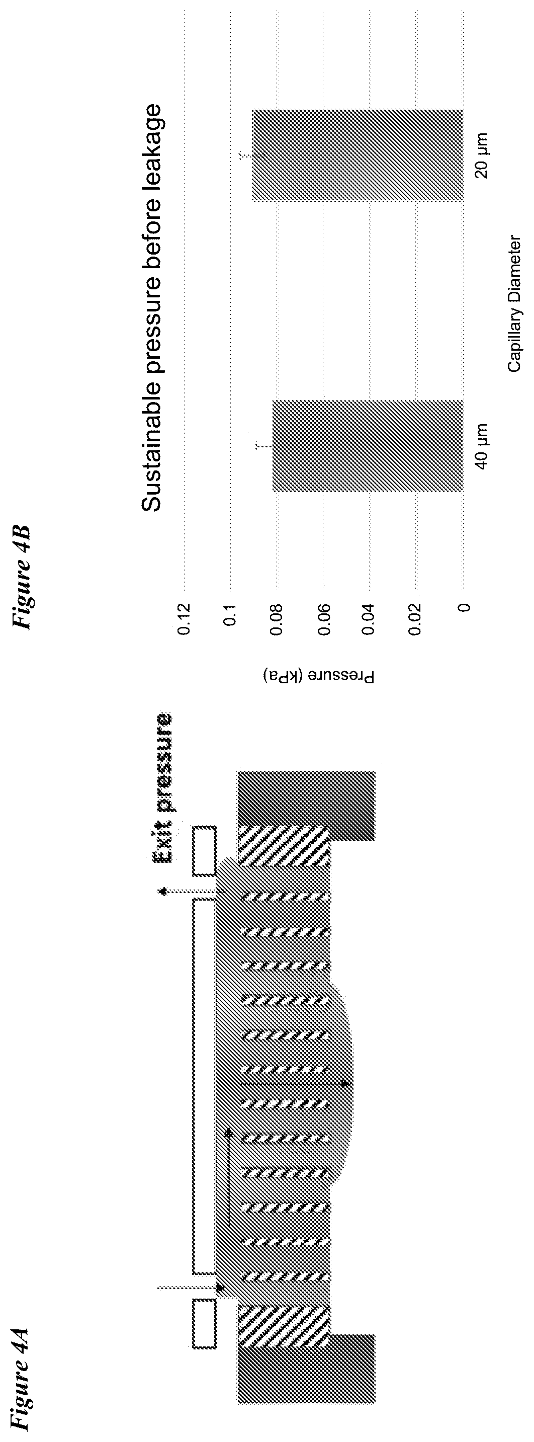 Patent US12318775 Figure 4 – Lateral loading of microcapillary arrays