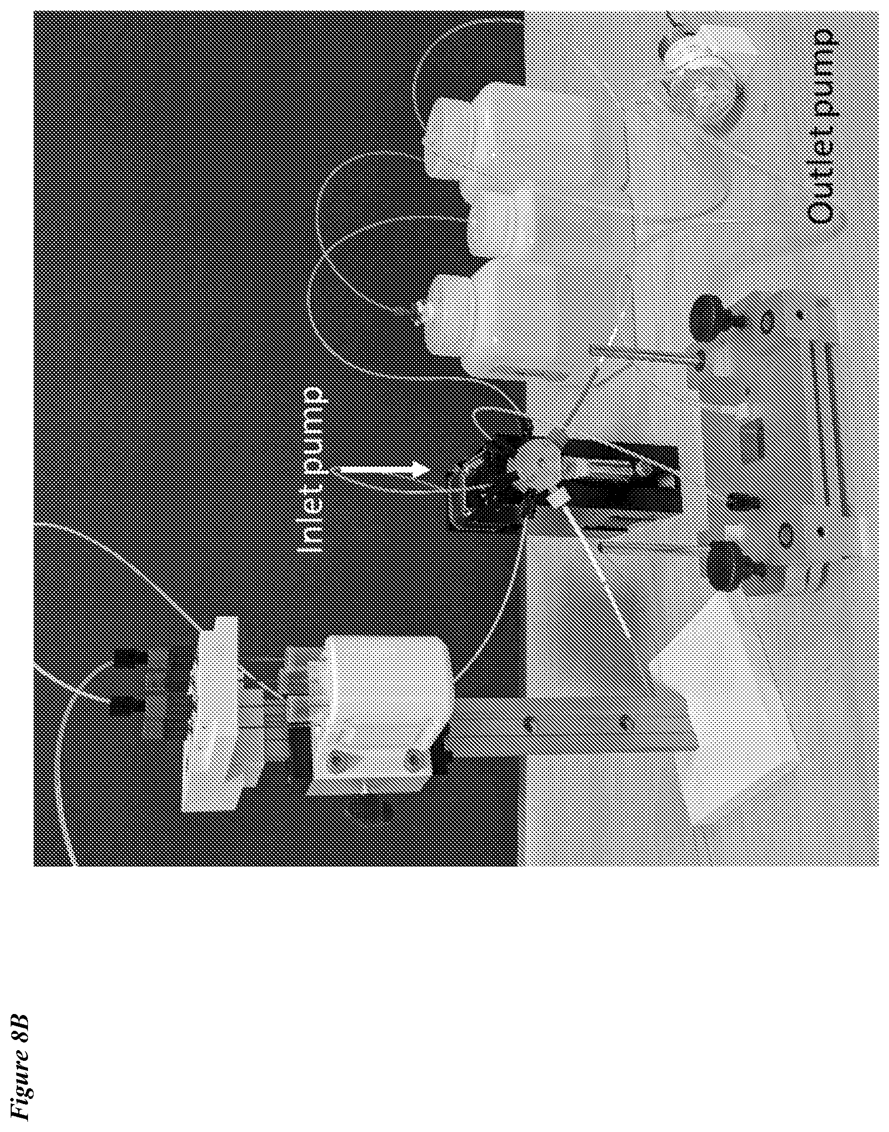 Patent US12318775 Figure 9 – Lateral loading of microcapillary arrays