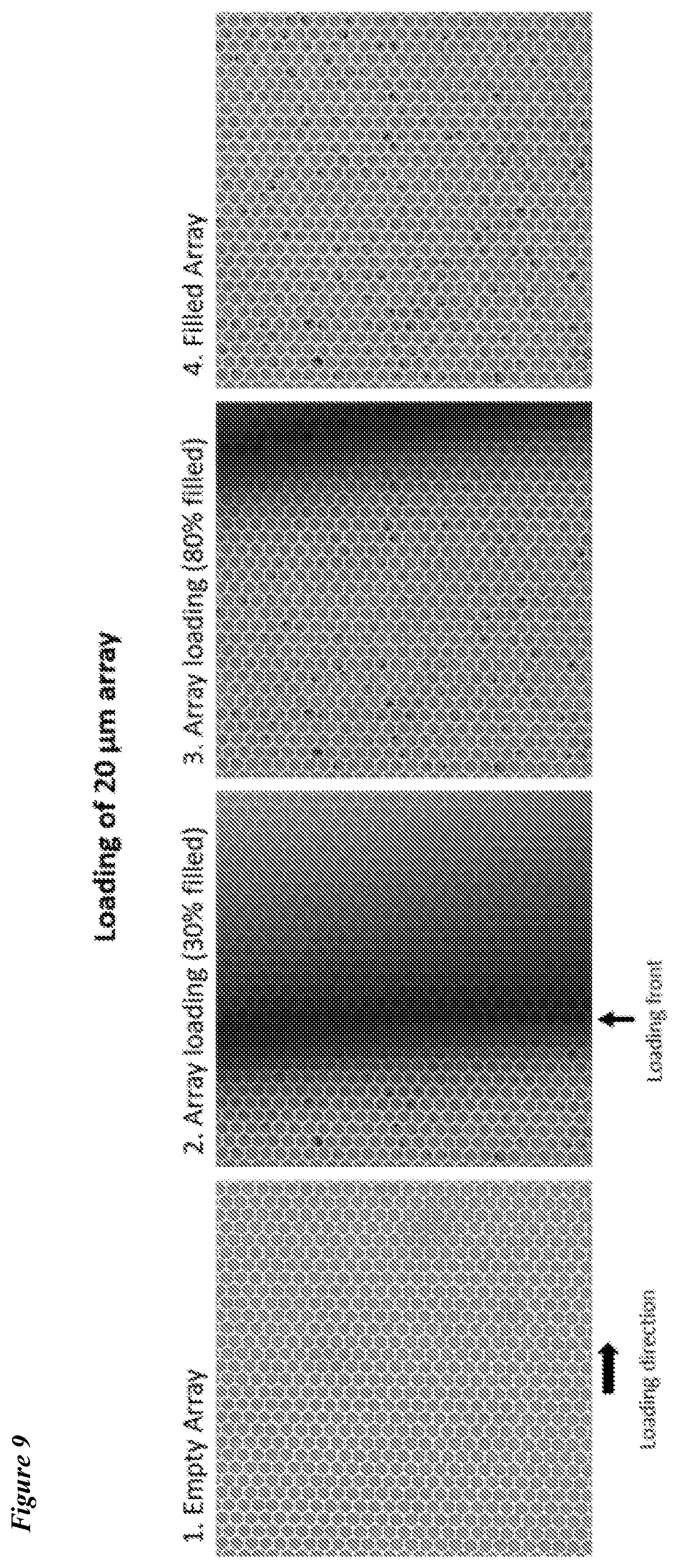 Patent US12318775 Figure 10 – Lateral loading of microcapillary arrays