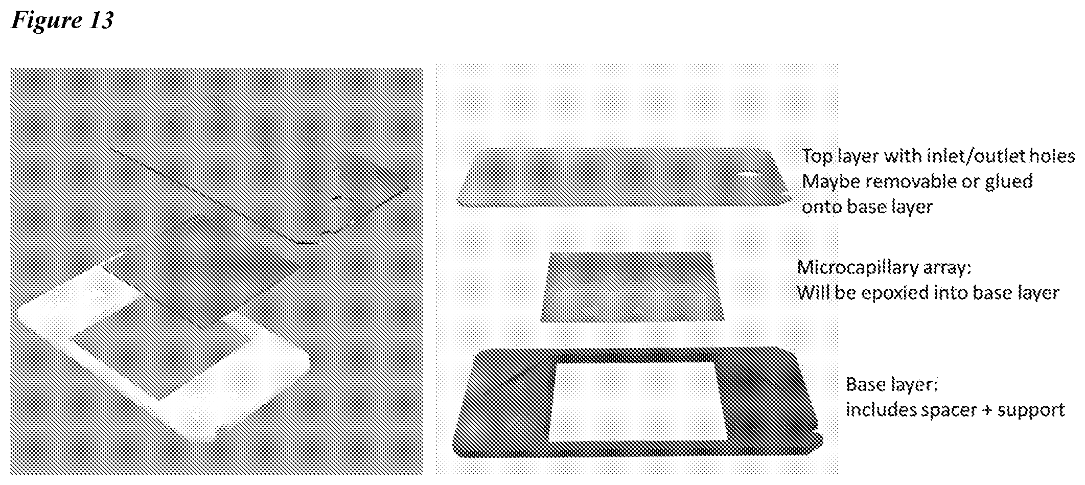 Patent US12318775 Figure 14 – Lateral loading of microcapillary arrays