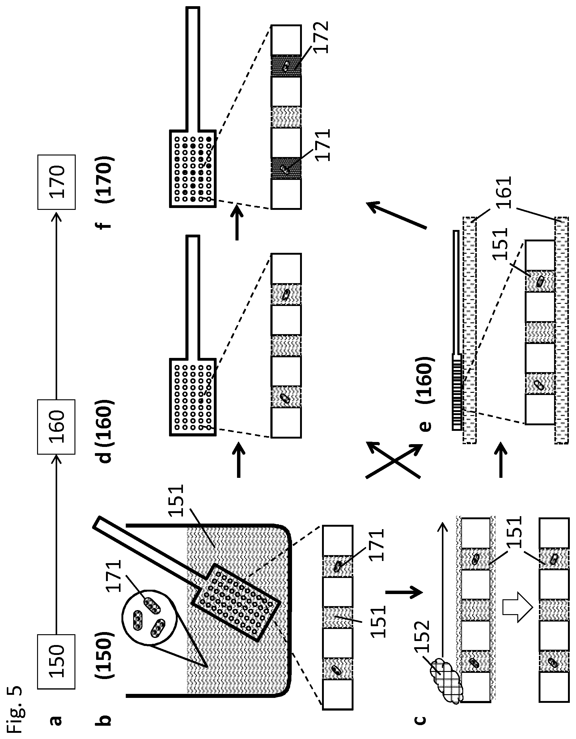 Patent US12318782 Figure 5 – Device for bioassay and methods for preparation and use thereof