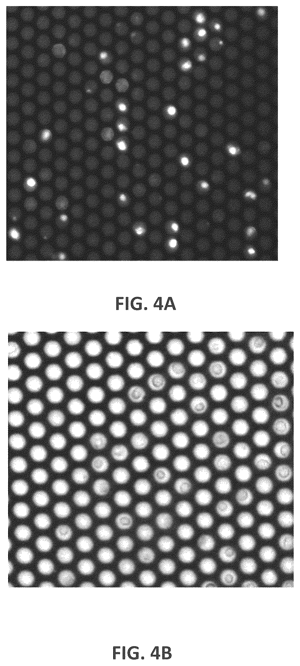 Patent US12318783 Figure 6 – Particle sorting systems and methods