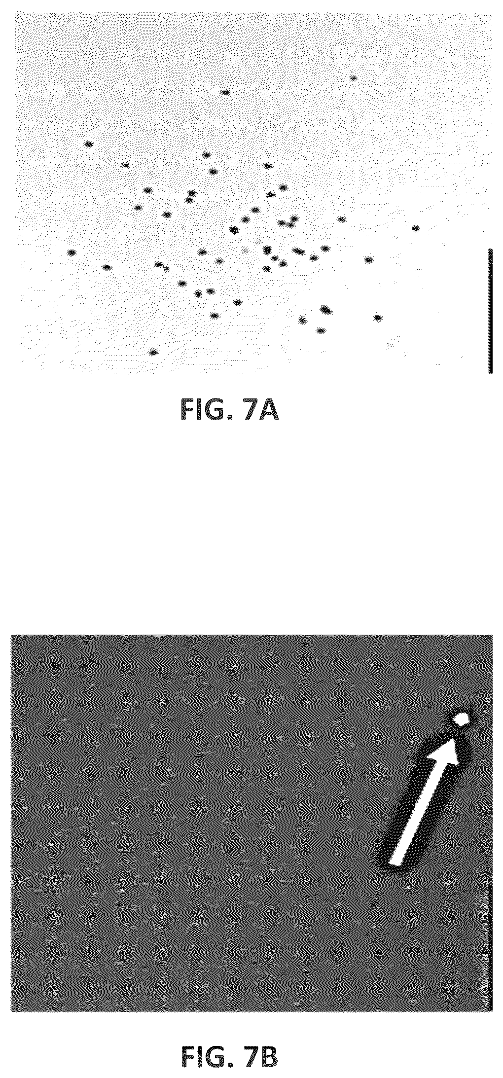 Patent US12318783 Figure 9 – Particle sorting systems and methods