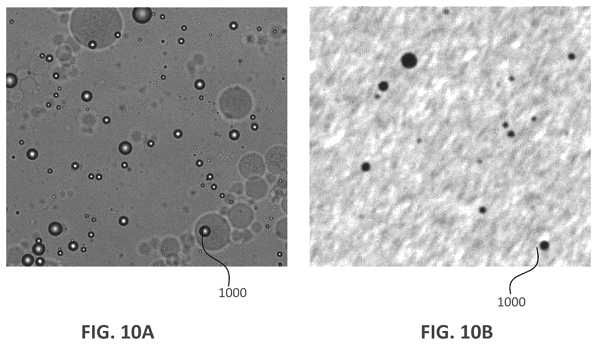 Patent US12318783 Figure 12 – Particle sorting systems and methods