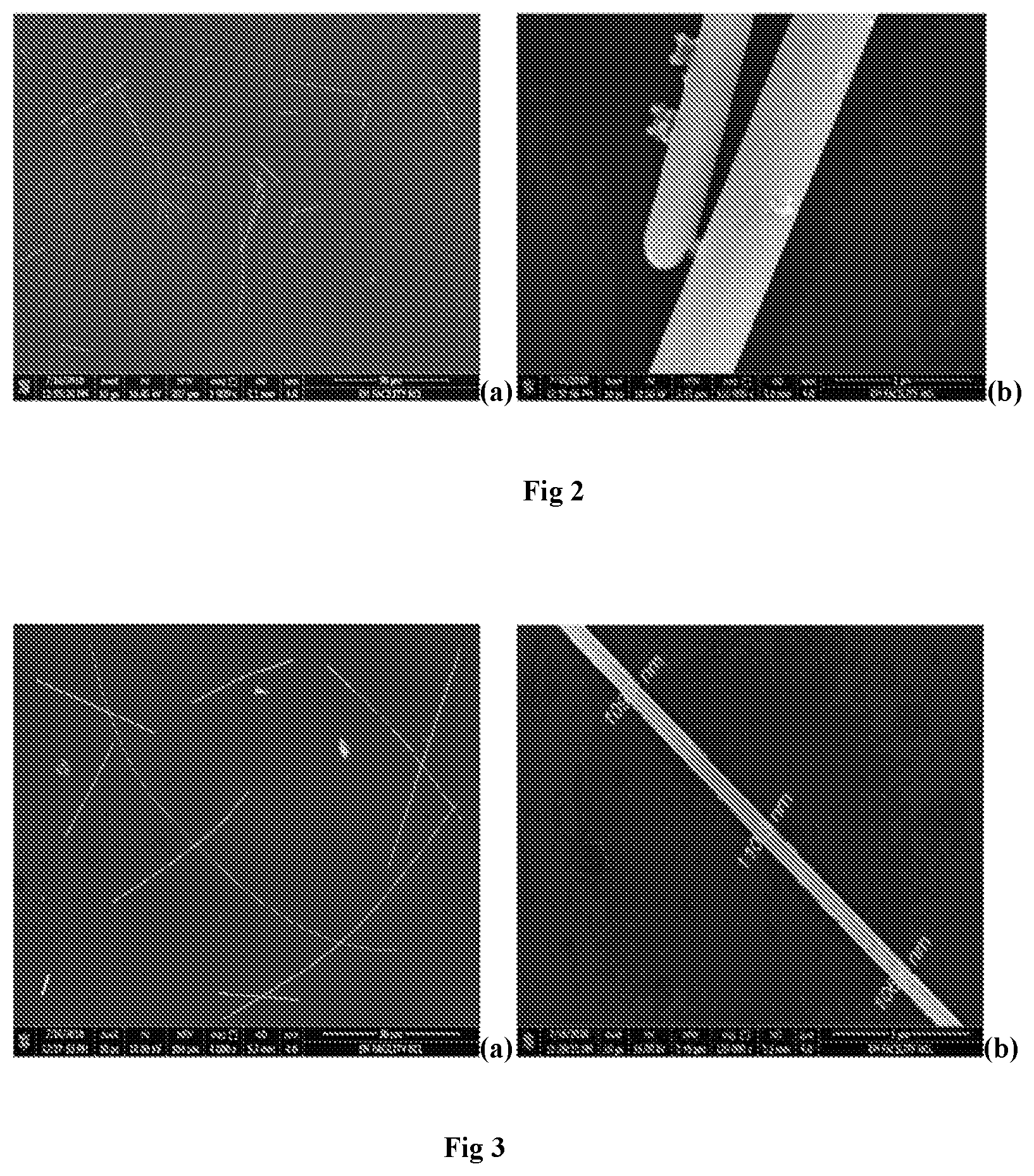 Patent US12318844 Figure 3 – Continuous flow process for the synthesis of metal nanowires using bubble column reactor