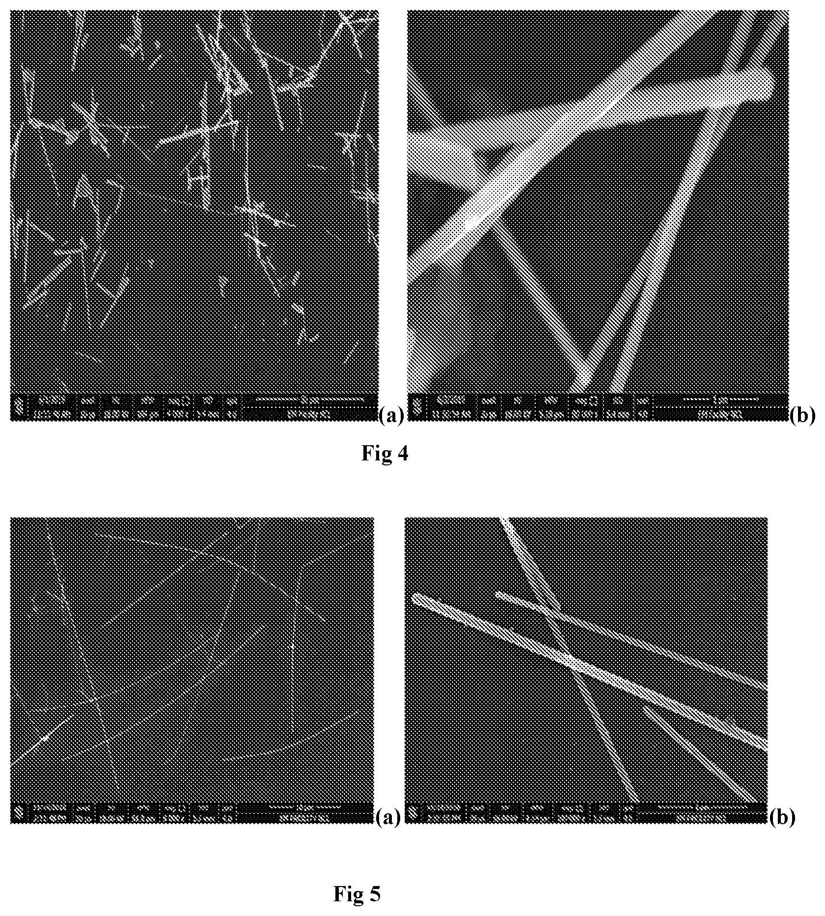 Patent US12318844 Figure 4 – Continuous flow process for the synthesis of metal nanowires using bubble column reactor