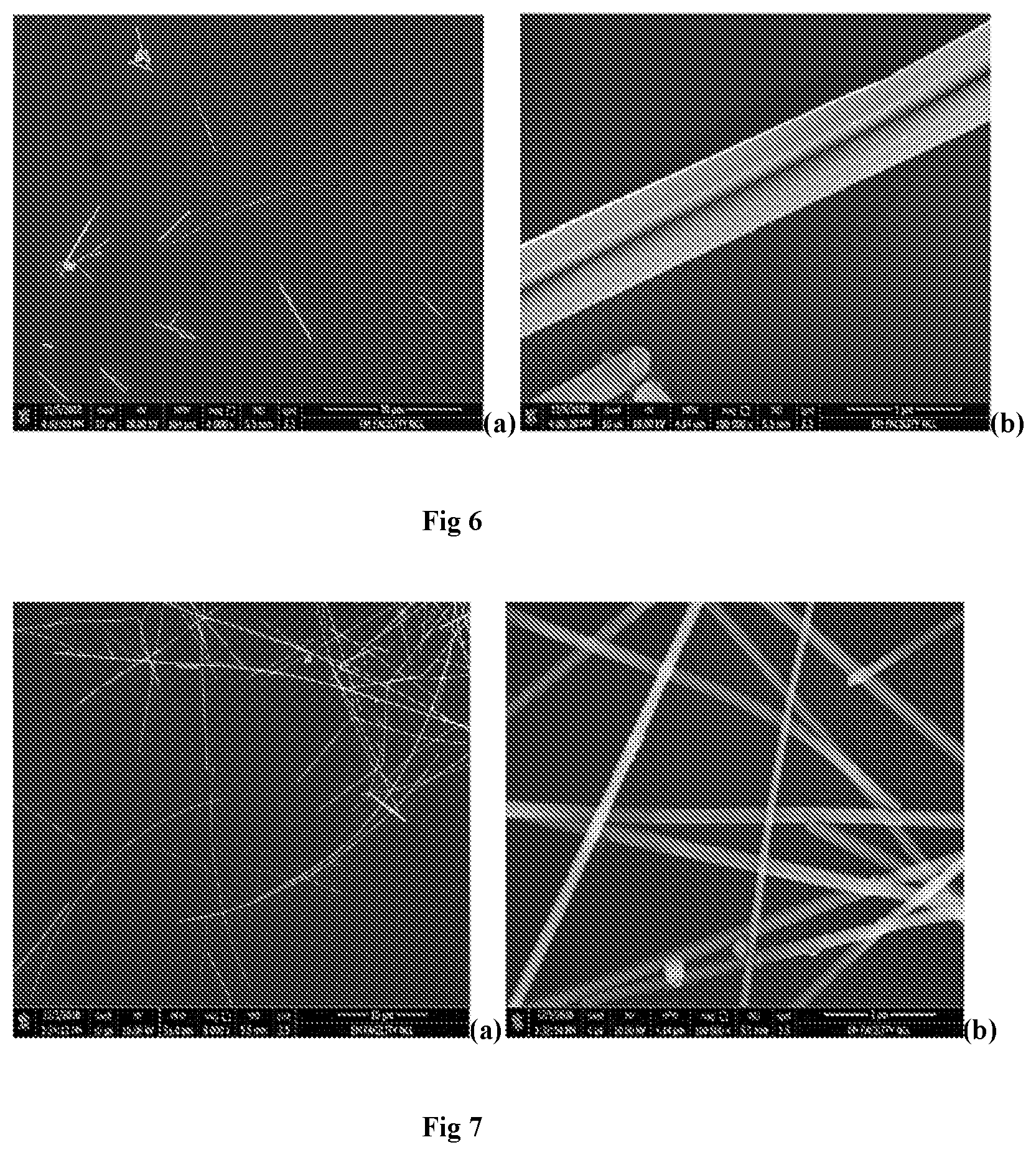 Patent US12318844 Figure 5 – Continuous flow process for the synthesis of metal nanowires using bubble column reactor