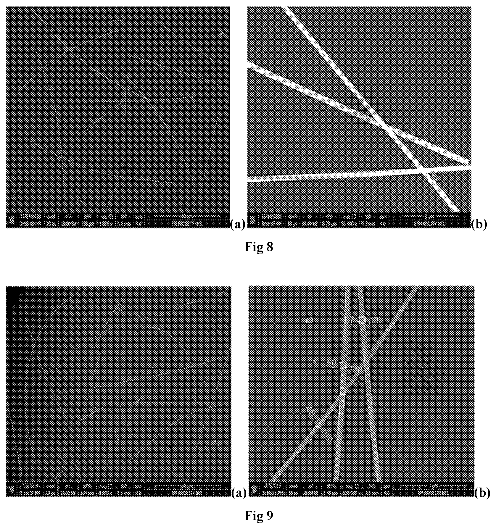 Patent US12318844 Figure 6 – Continuous flow process for the synthesis of metal nanowires using bubble column reactor